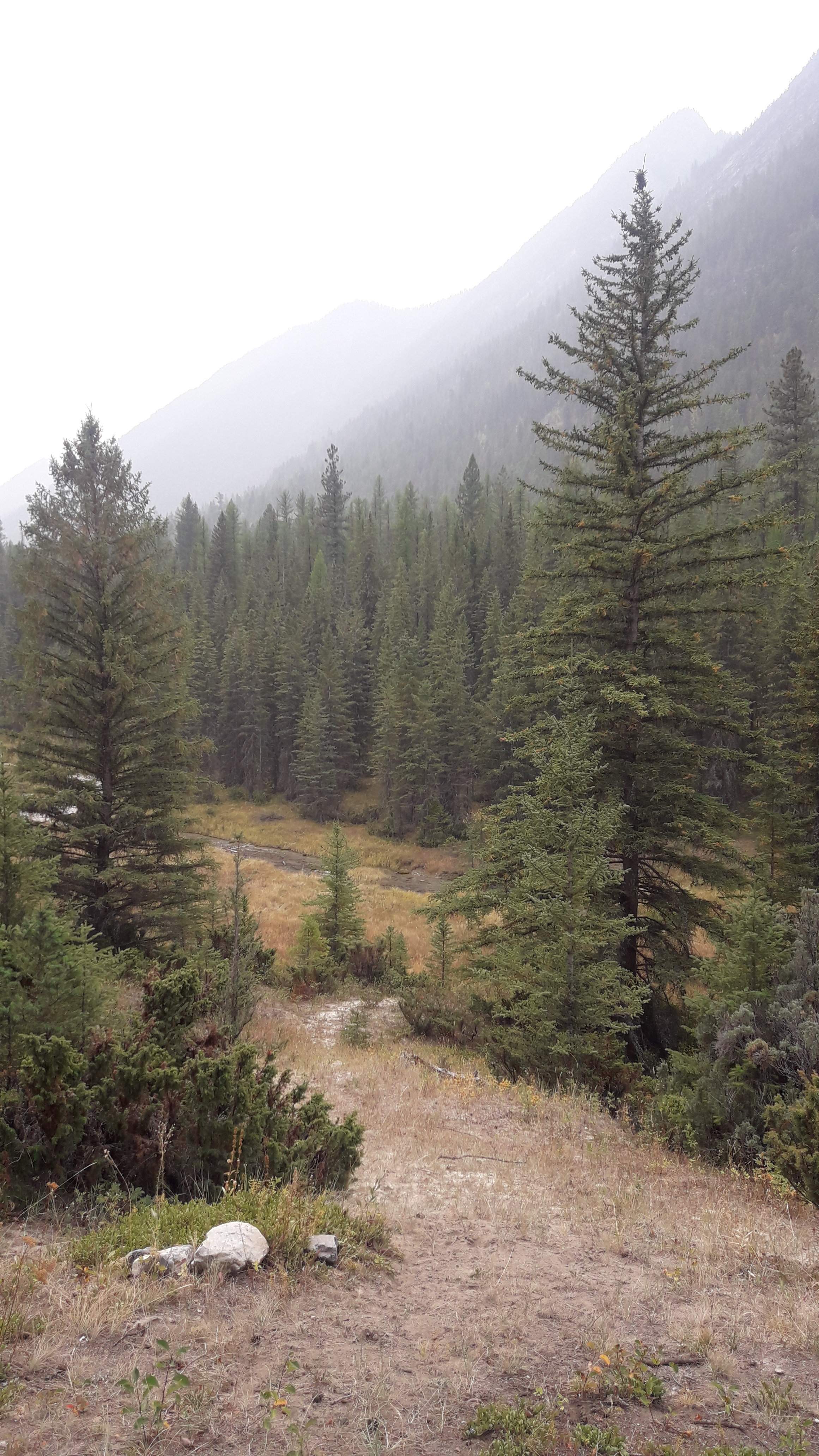 20200919_130134.jpg