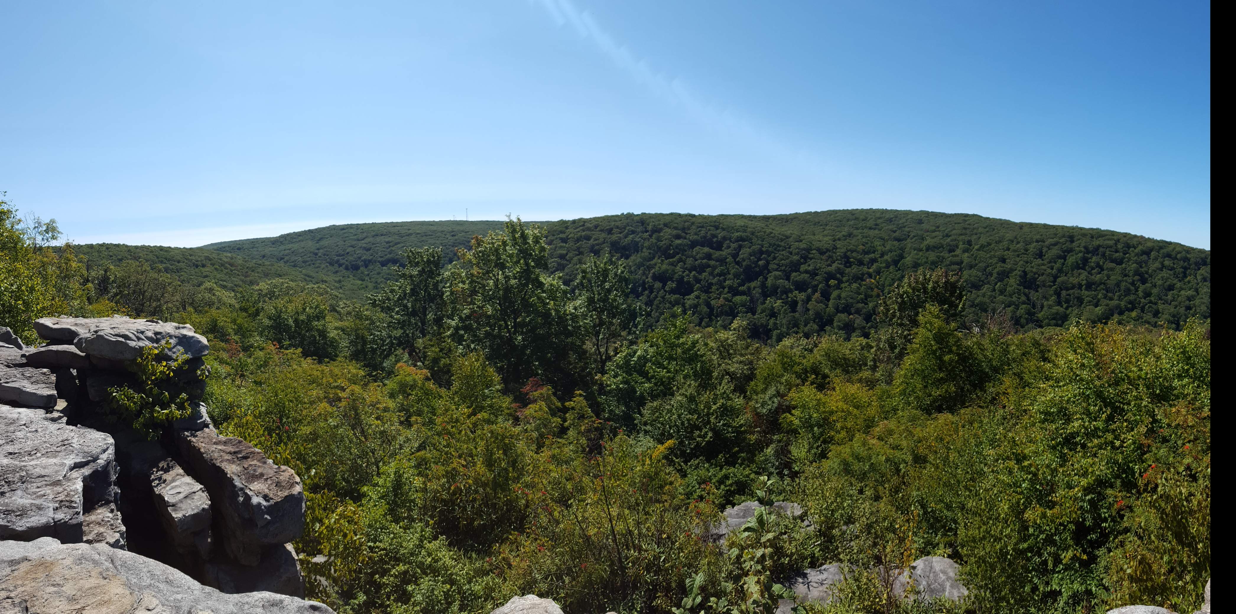 20200925_153607.jpg