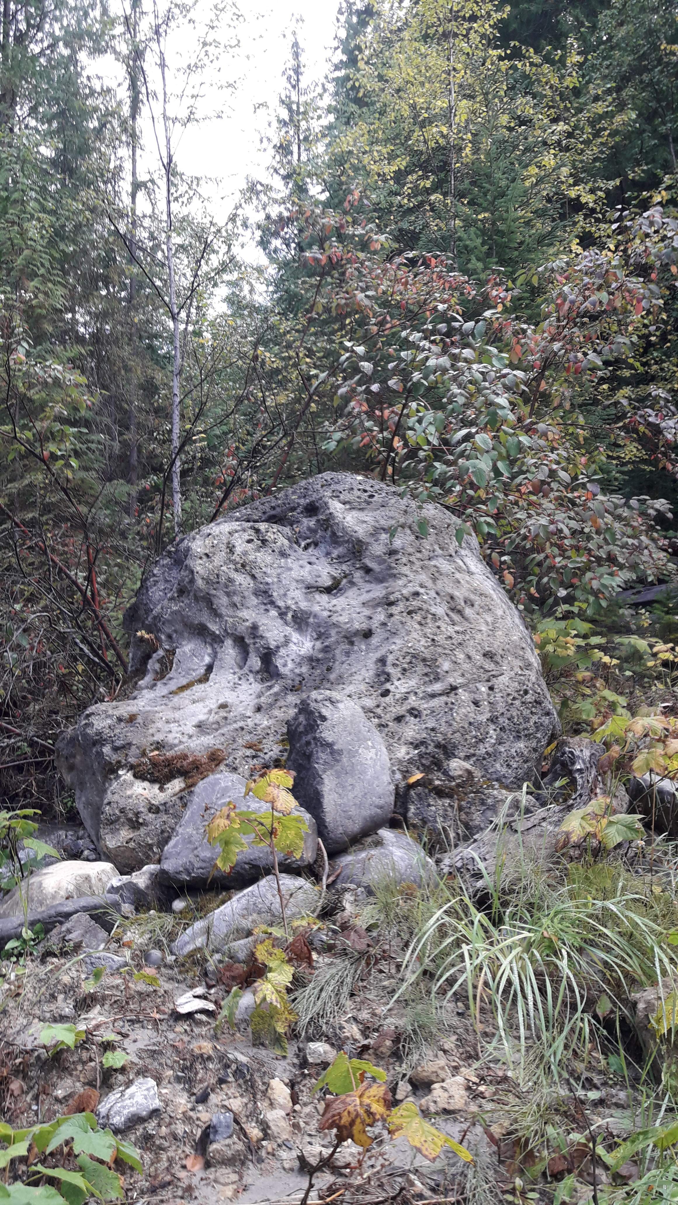 20200926_121914.jpg