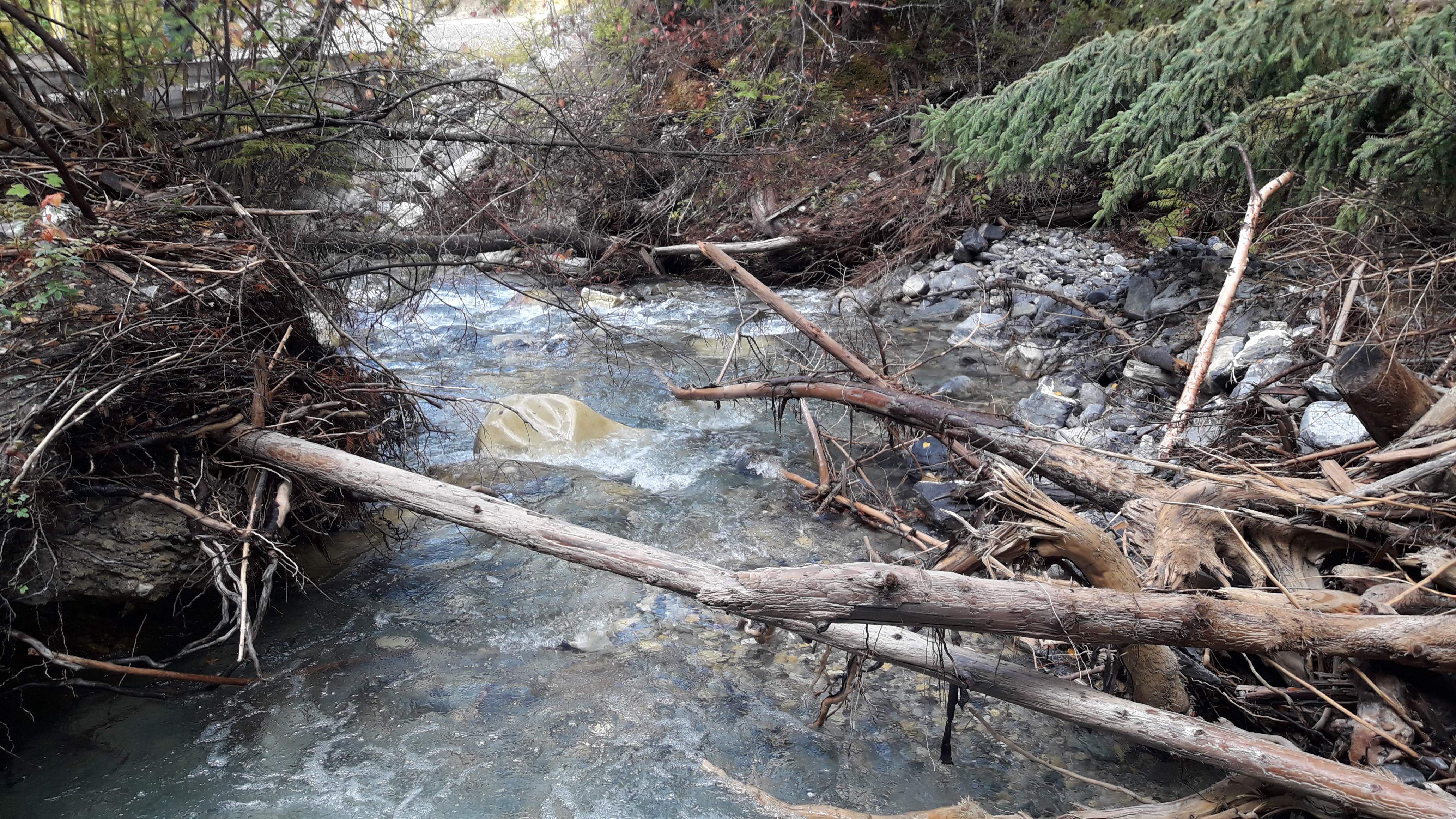 20200926_121935.jpg