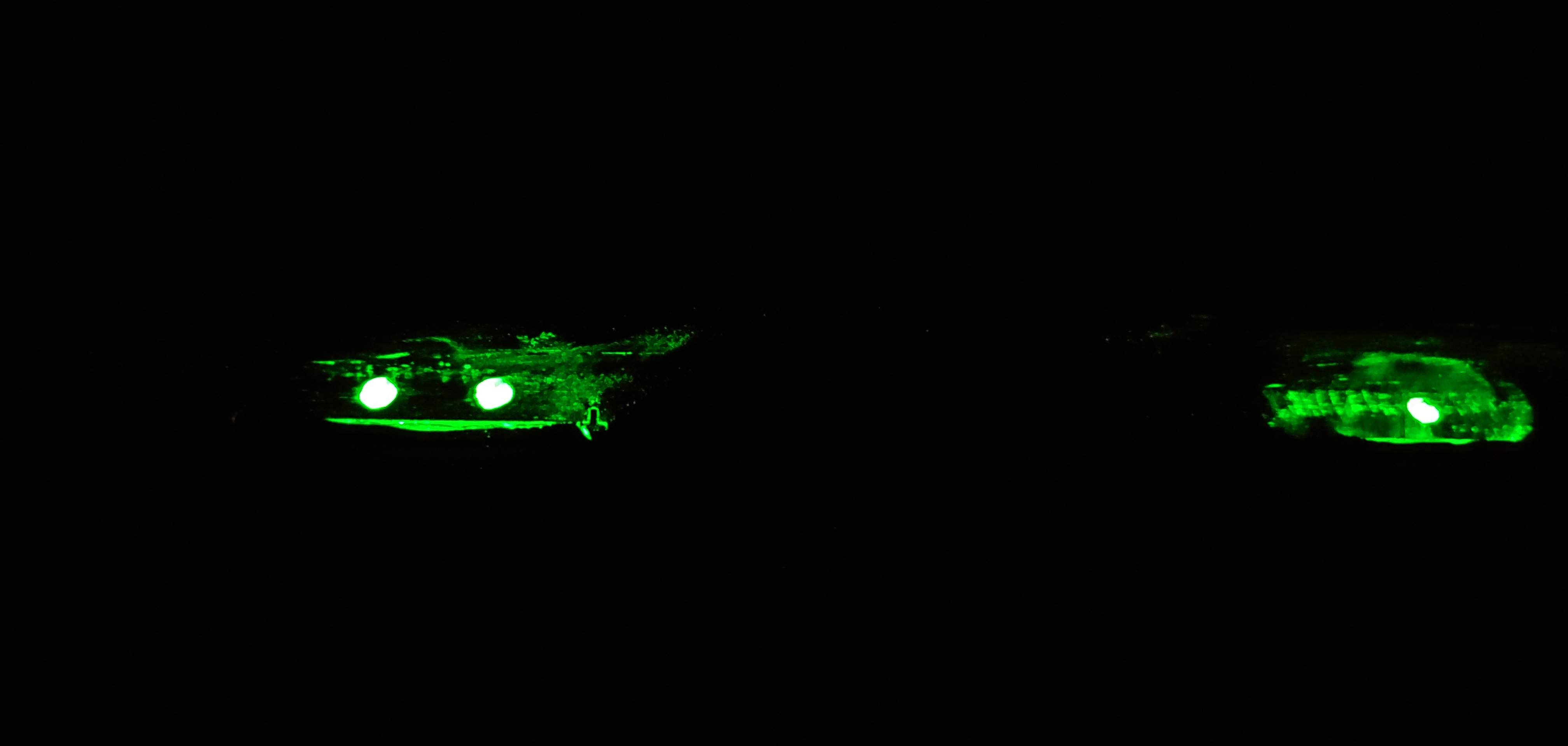 20200927_194438.jpg