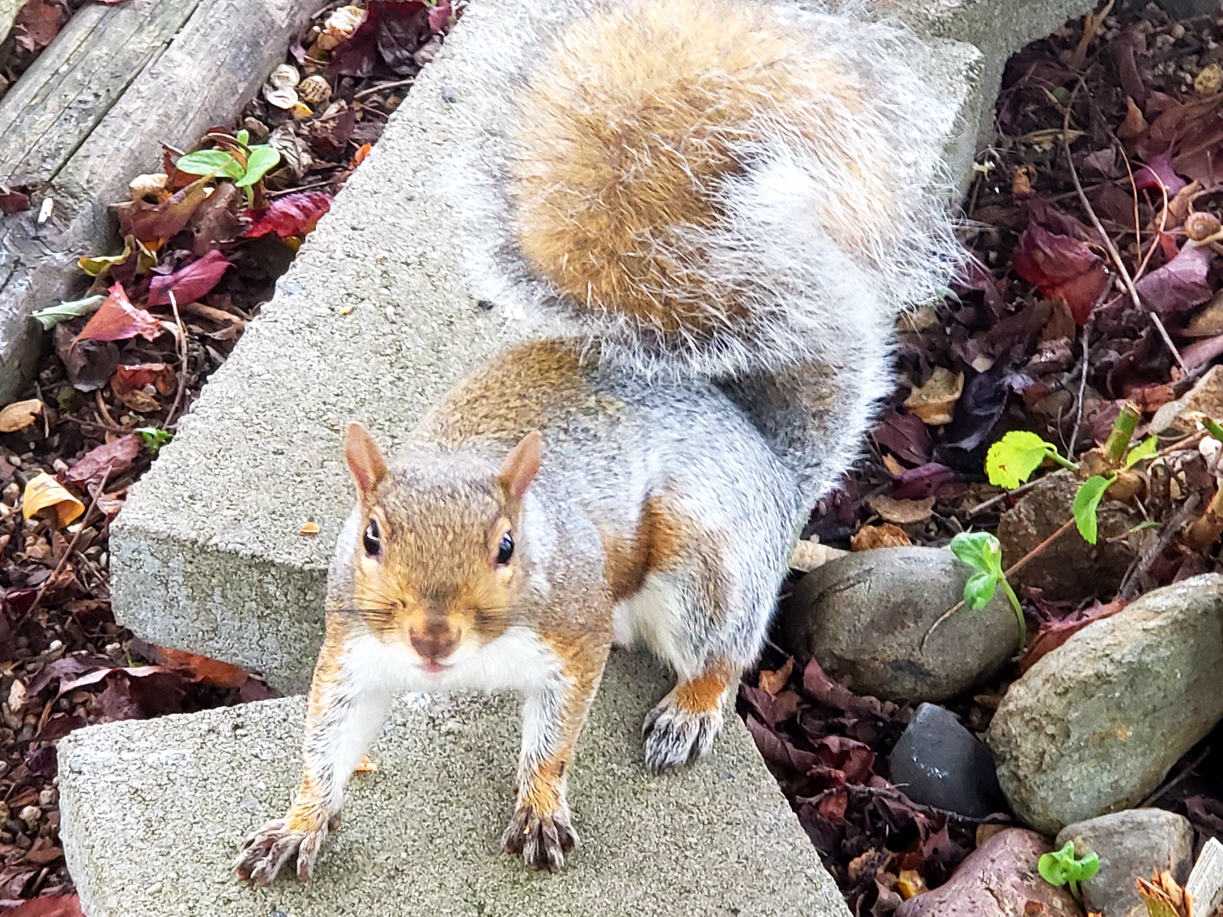 20201001_081823.jpg