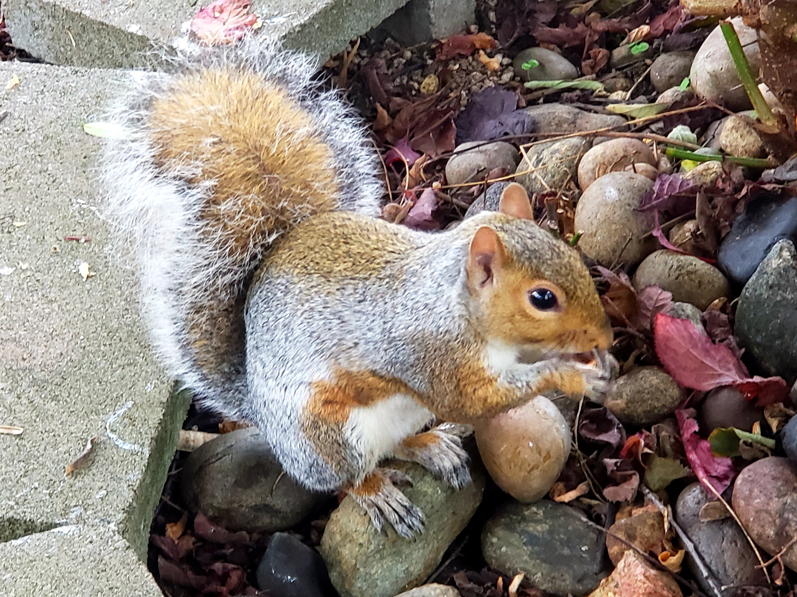 20201001_081932.jpg