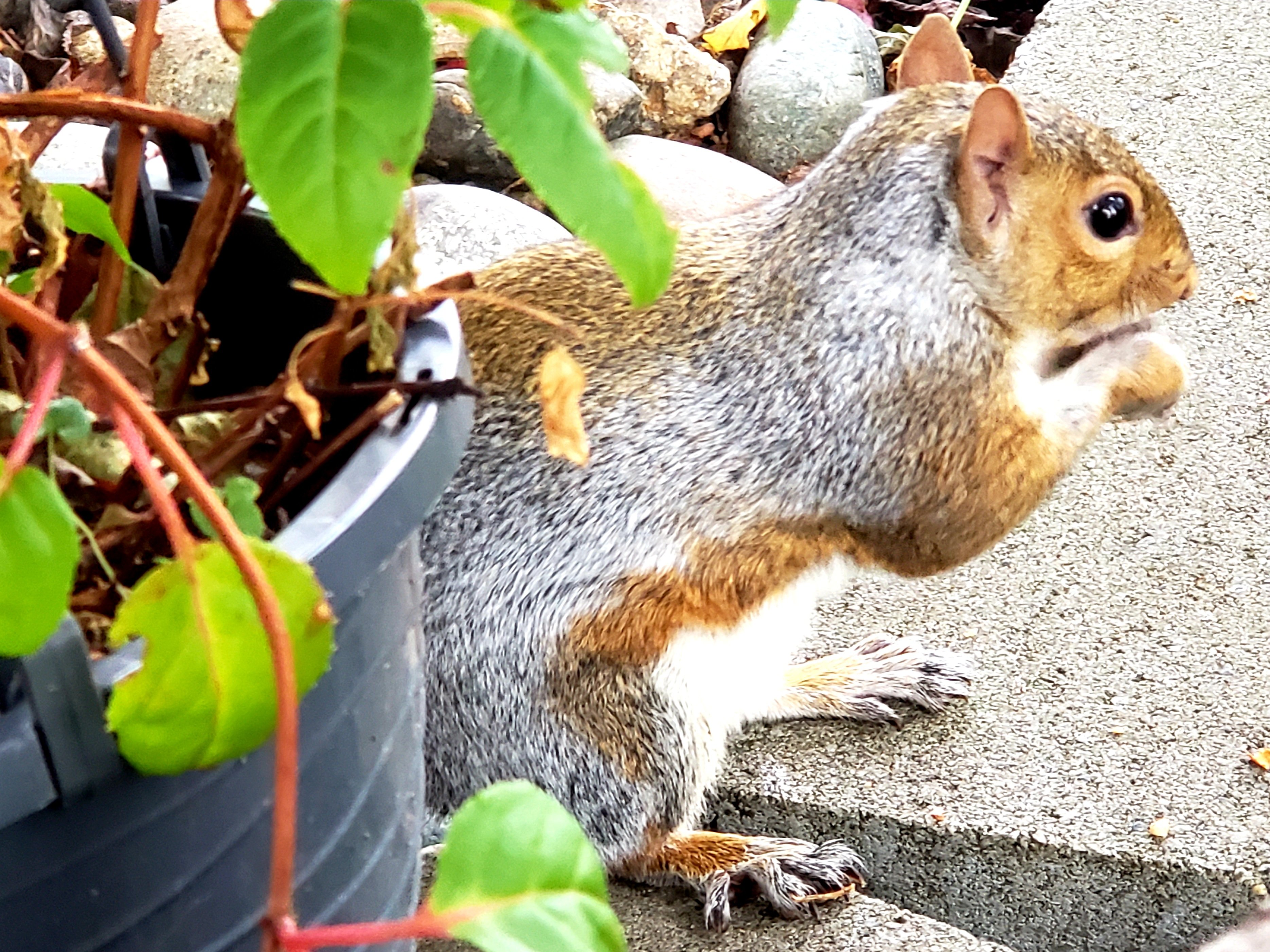 20201001_082417.jpg