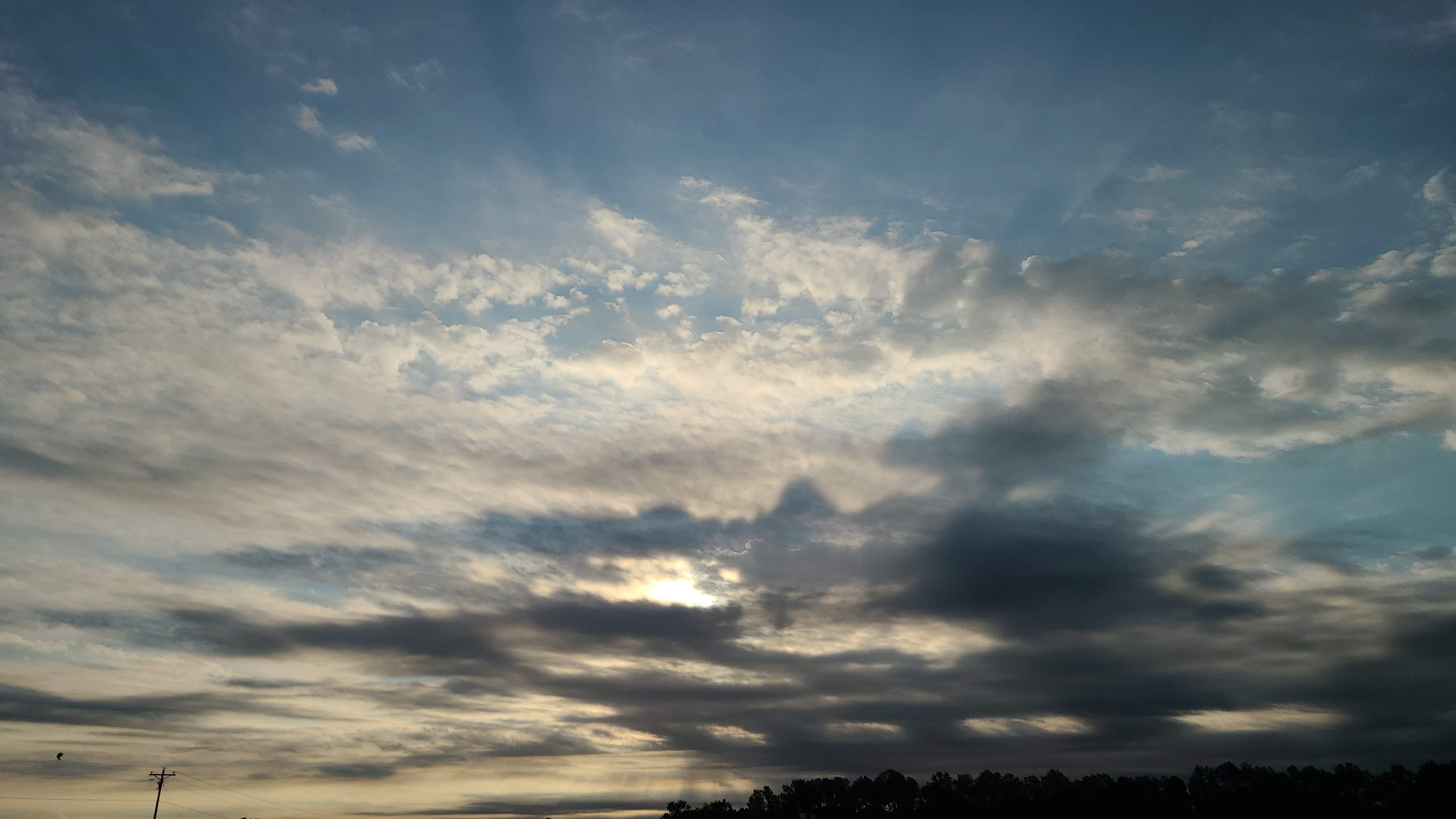20201002_080755.jpg
