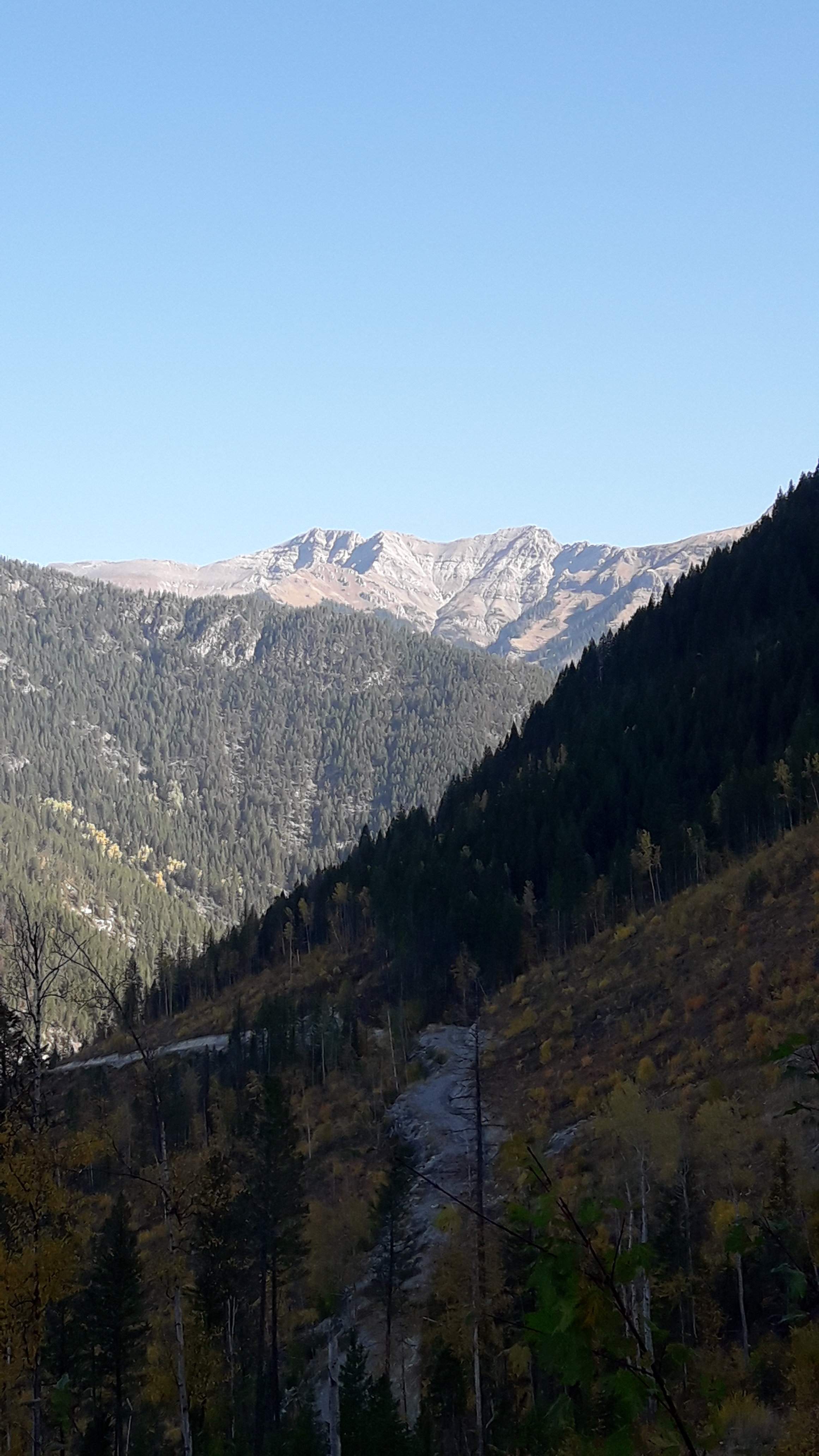20201003_112247.jpg