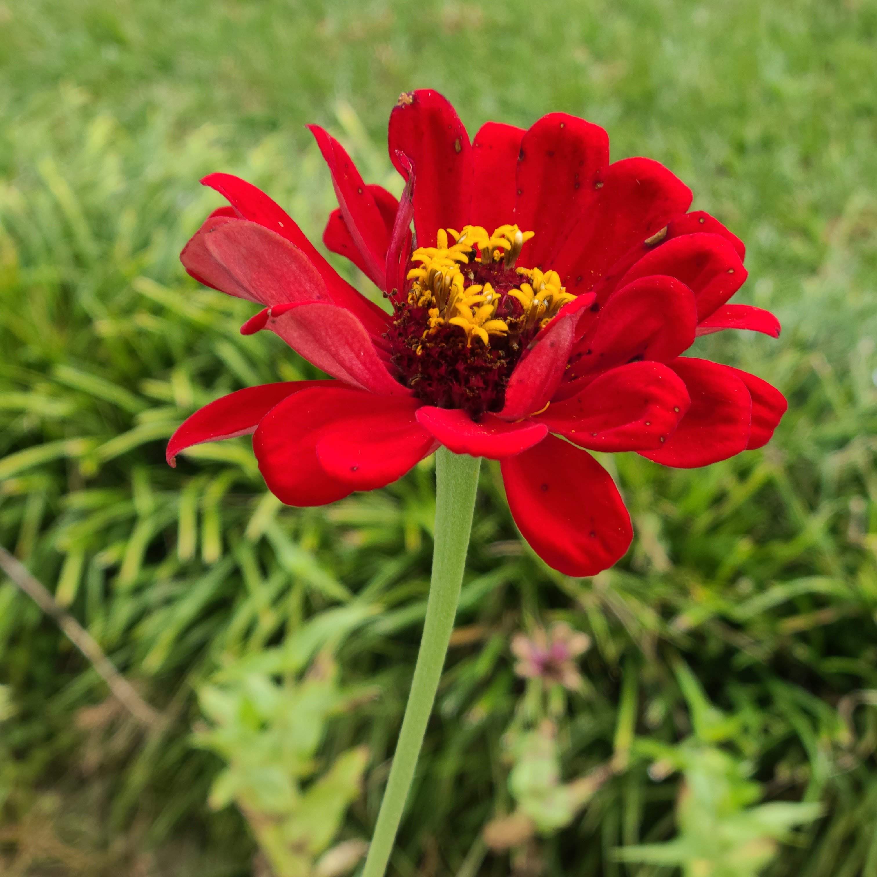 20201004_131409.jpg