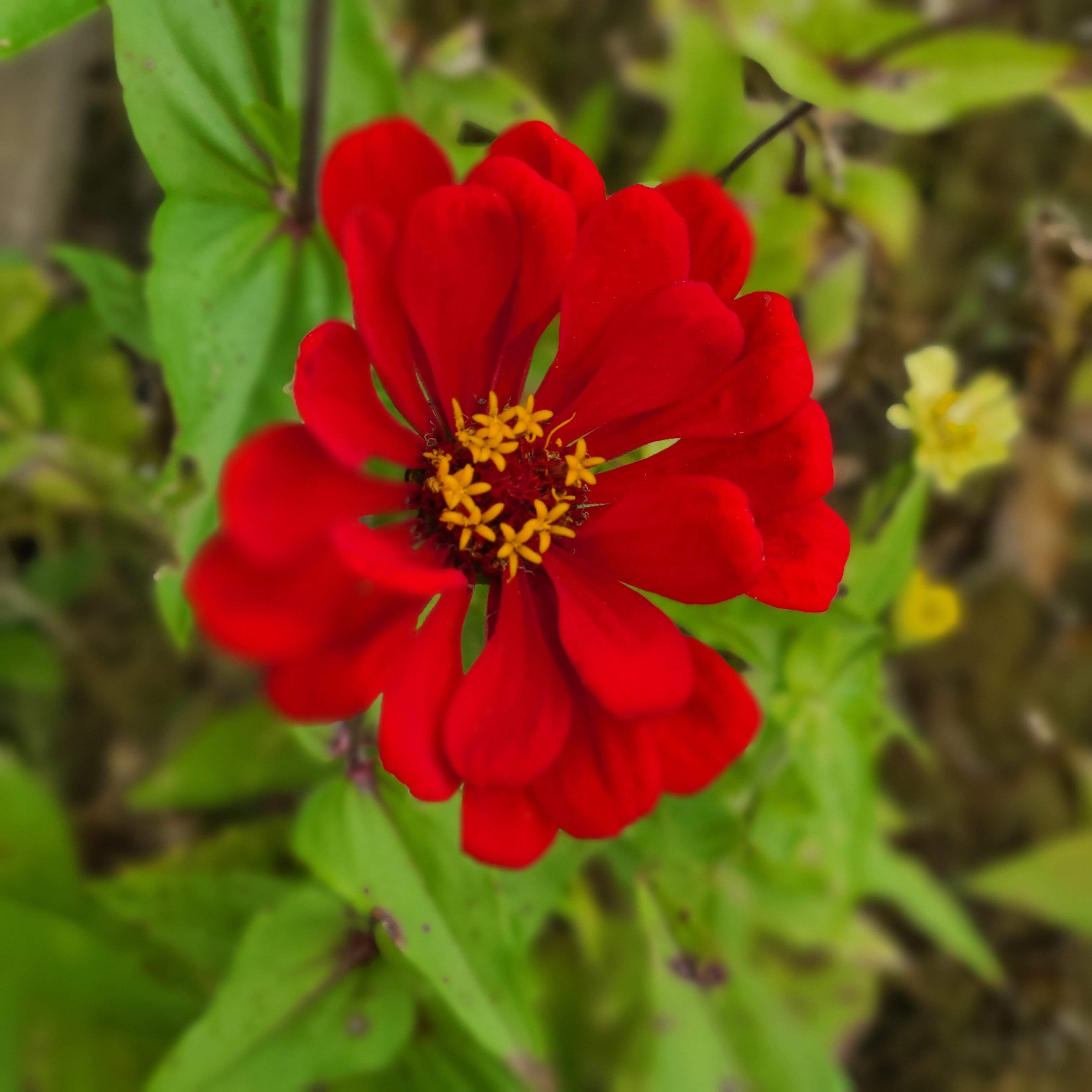 20201004_131448.jpg