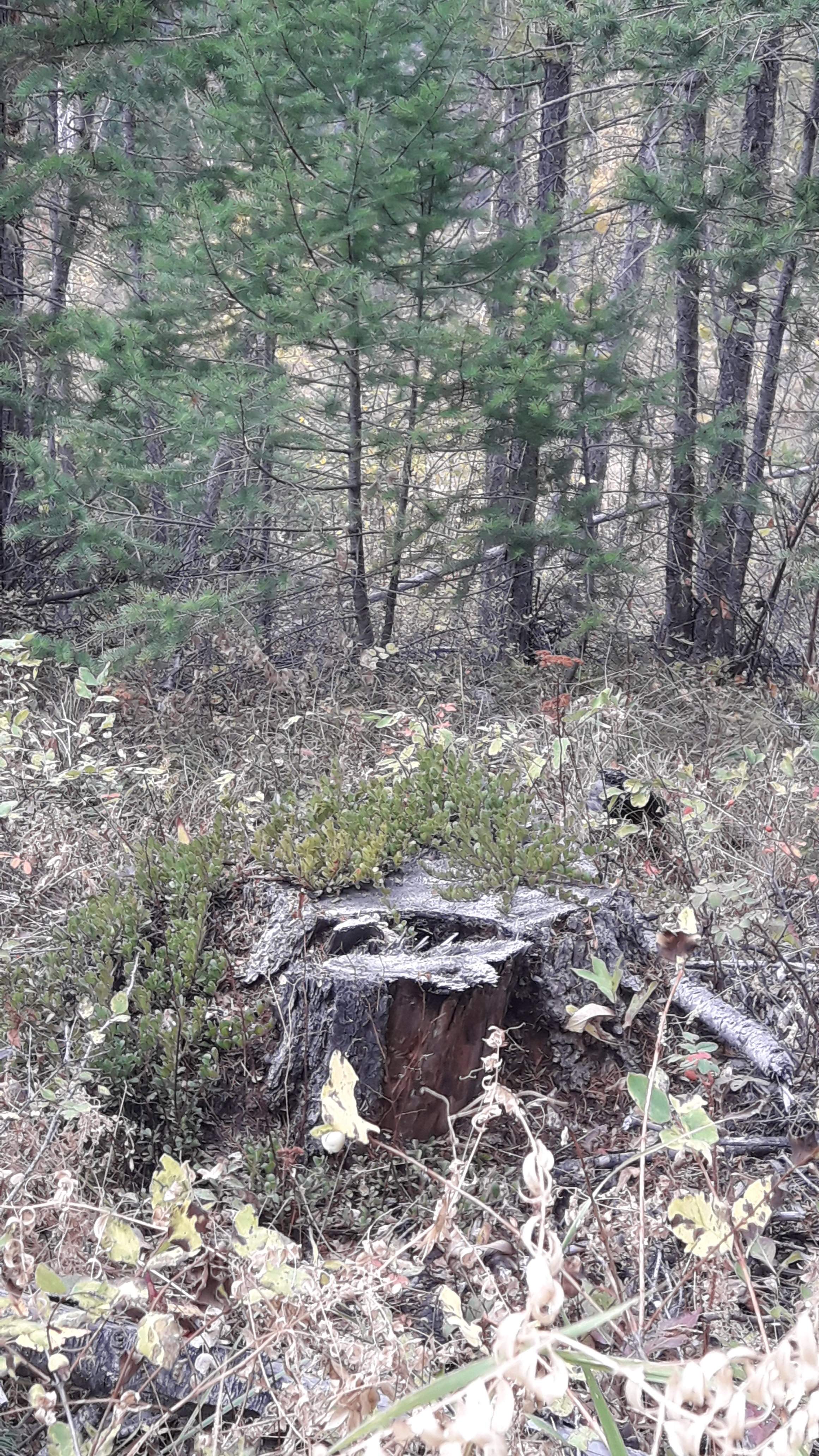 20201009_125018.jpg