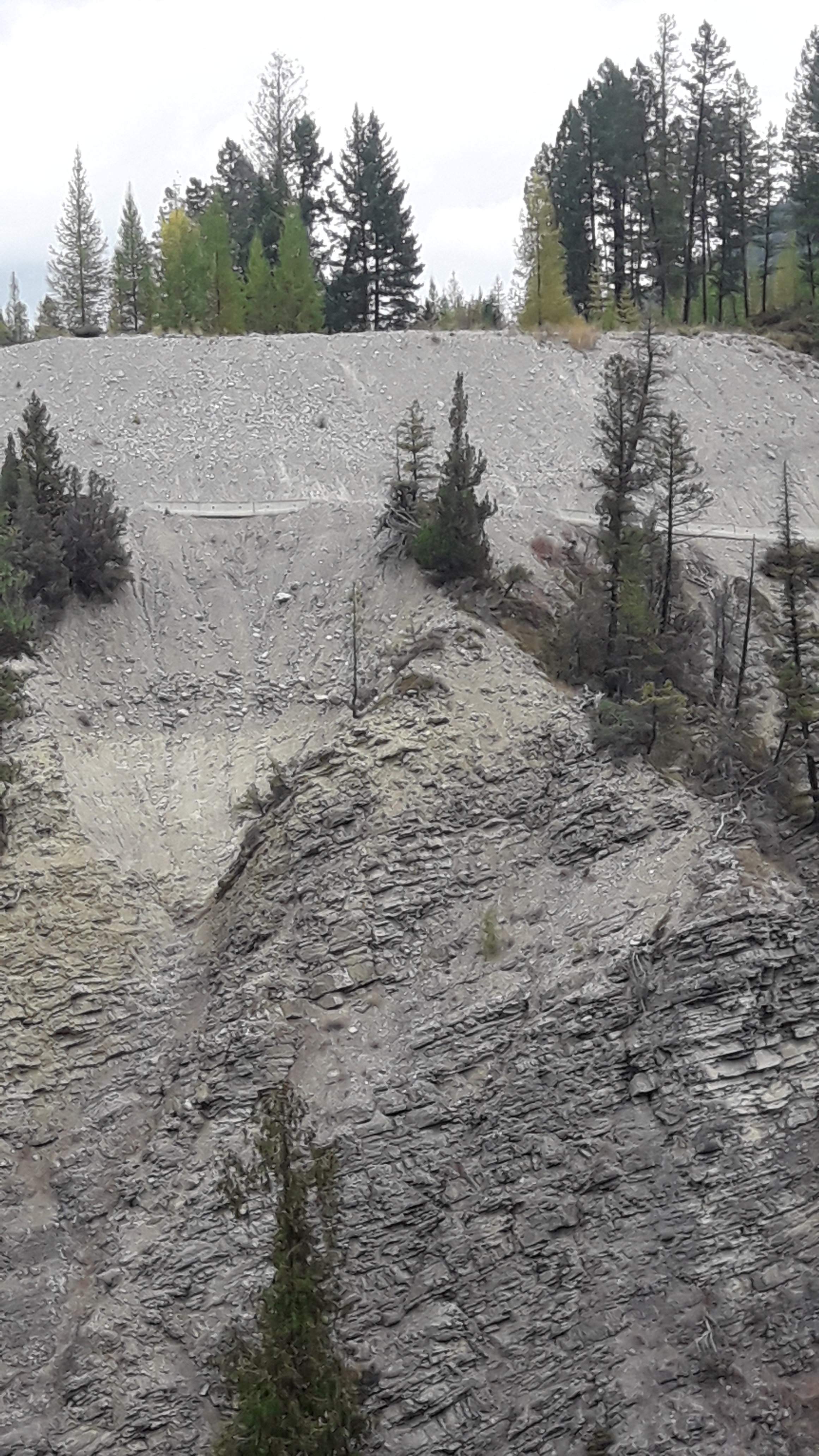 20201009_131247.jpg
