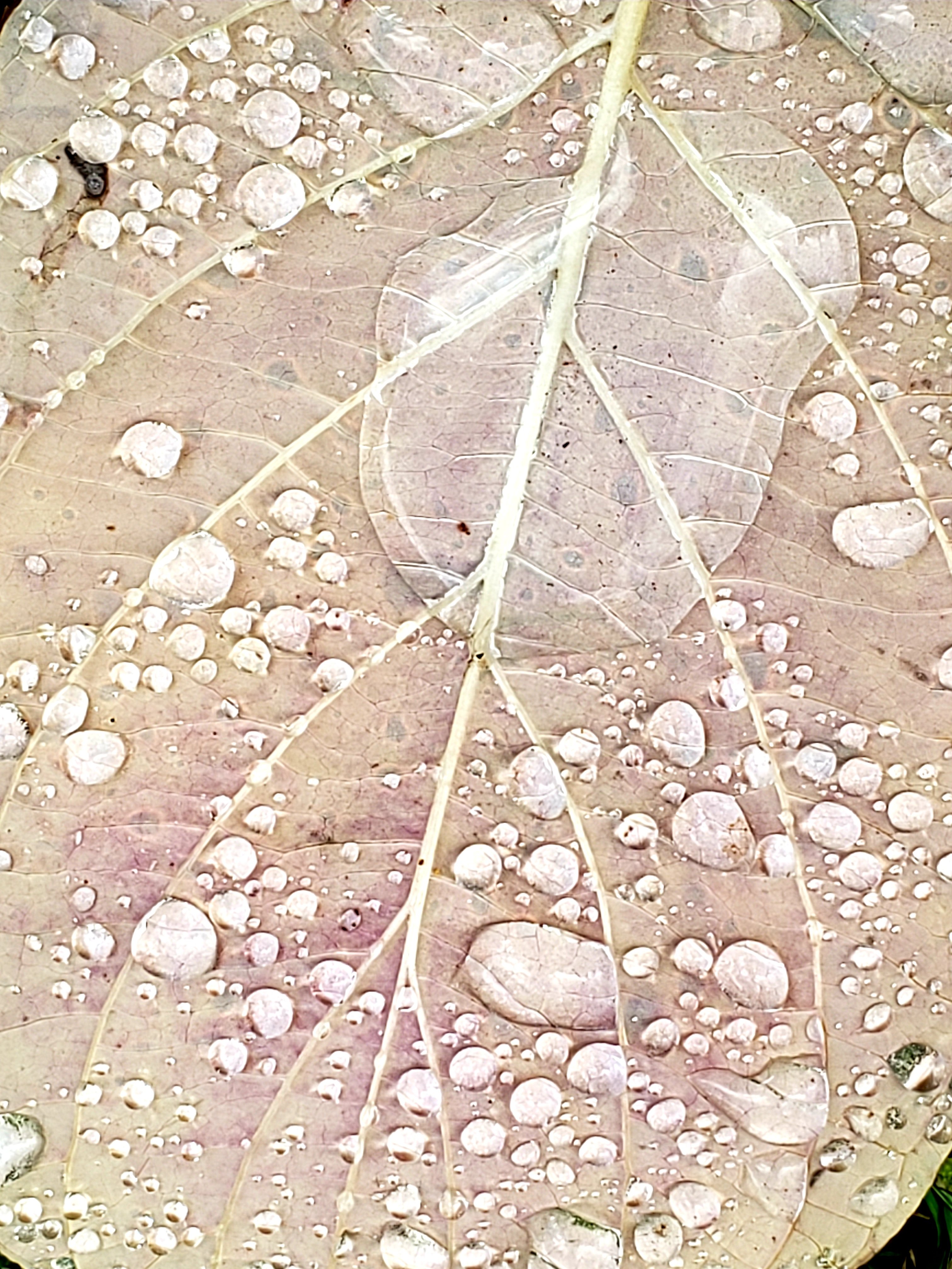 20201014_203201.jpg