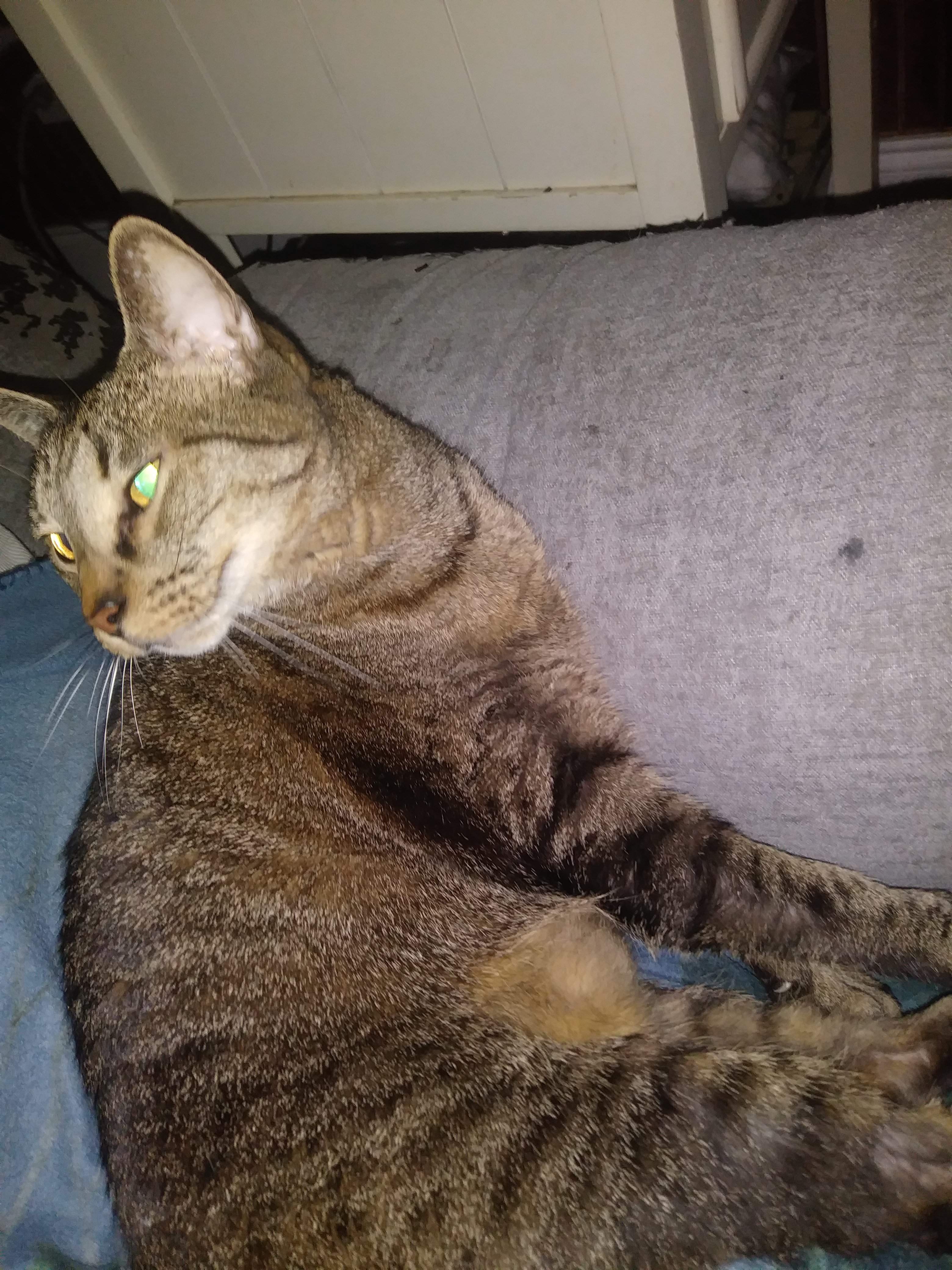 20201018_143804.jpg