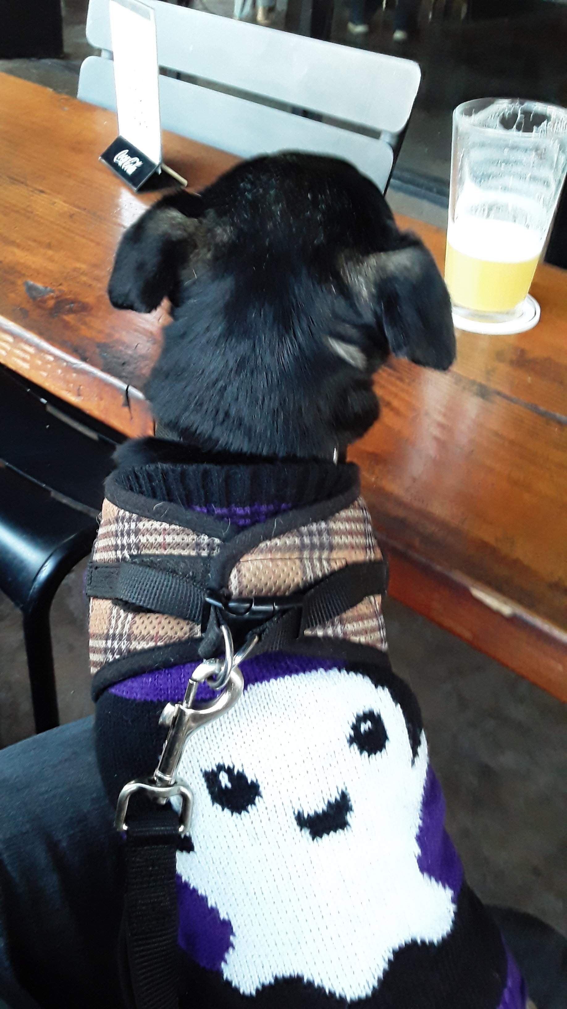 20201020_173527.jpg