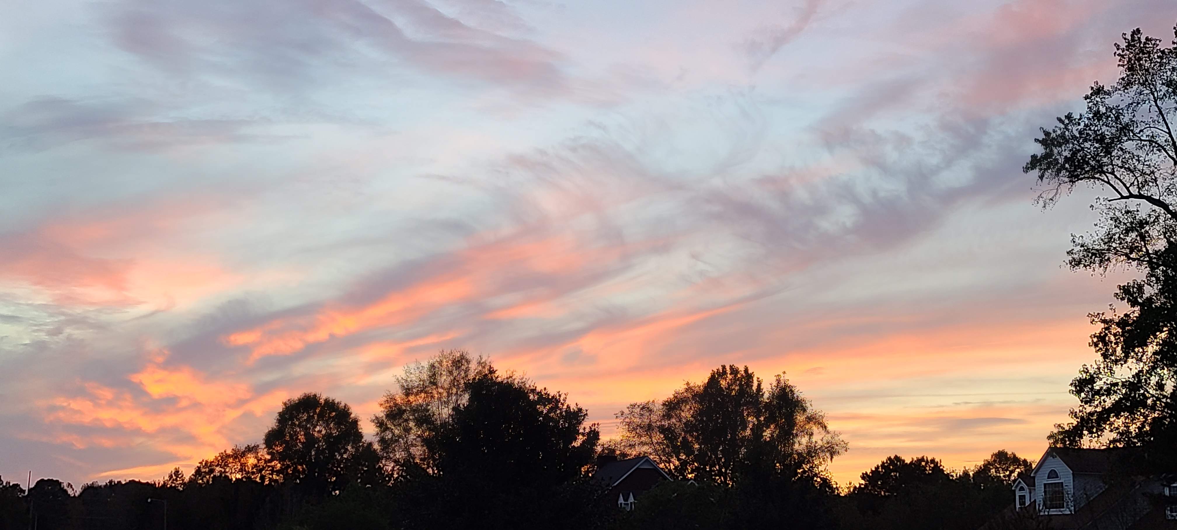 20201021_183211.jpg