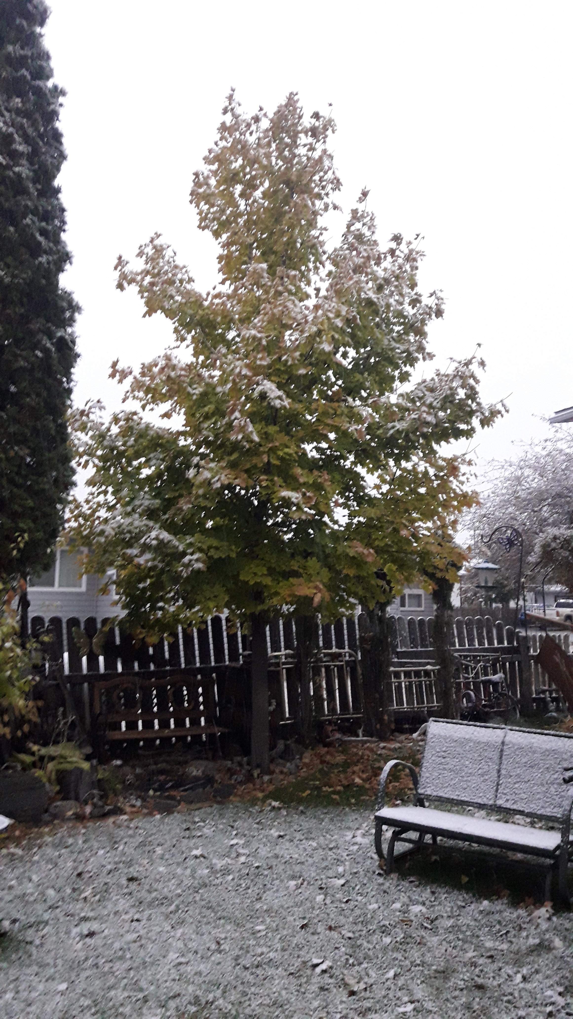 20201021_183551.jpg