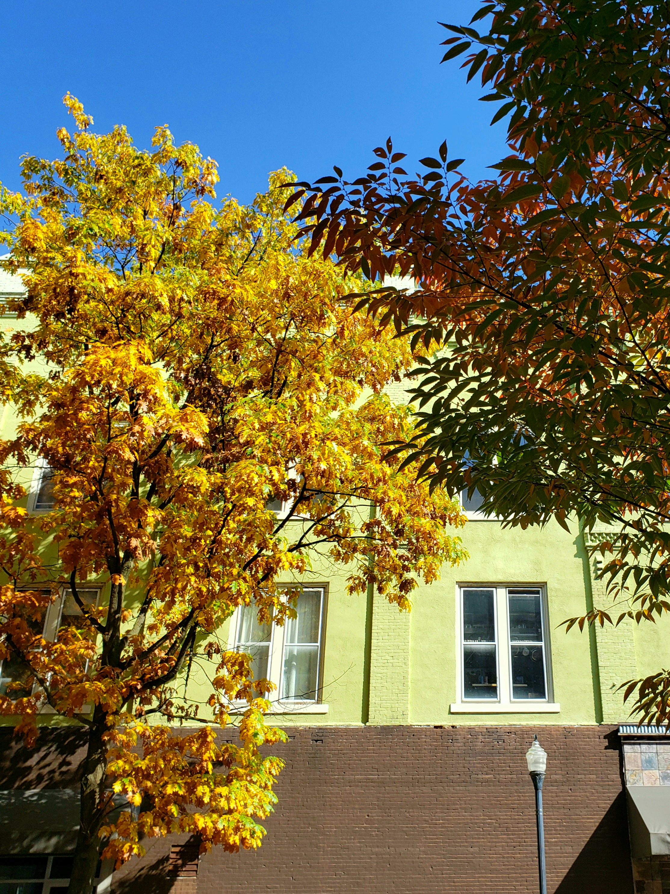 20201022_124836.jpg