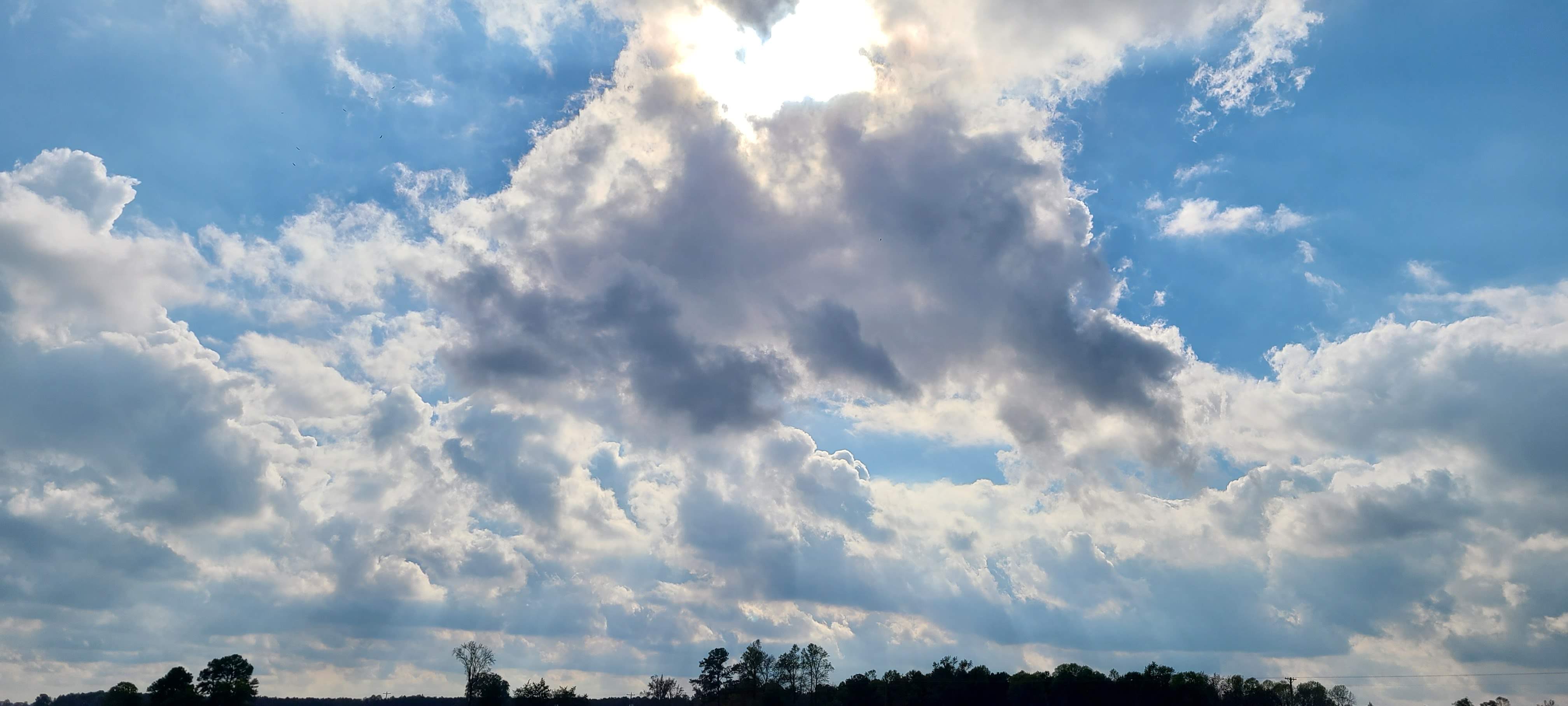 20201027_151342.jpg
