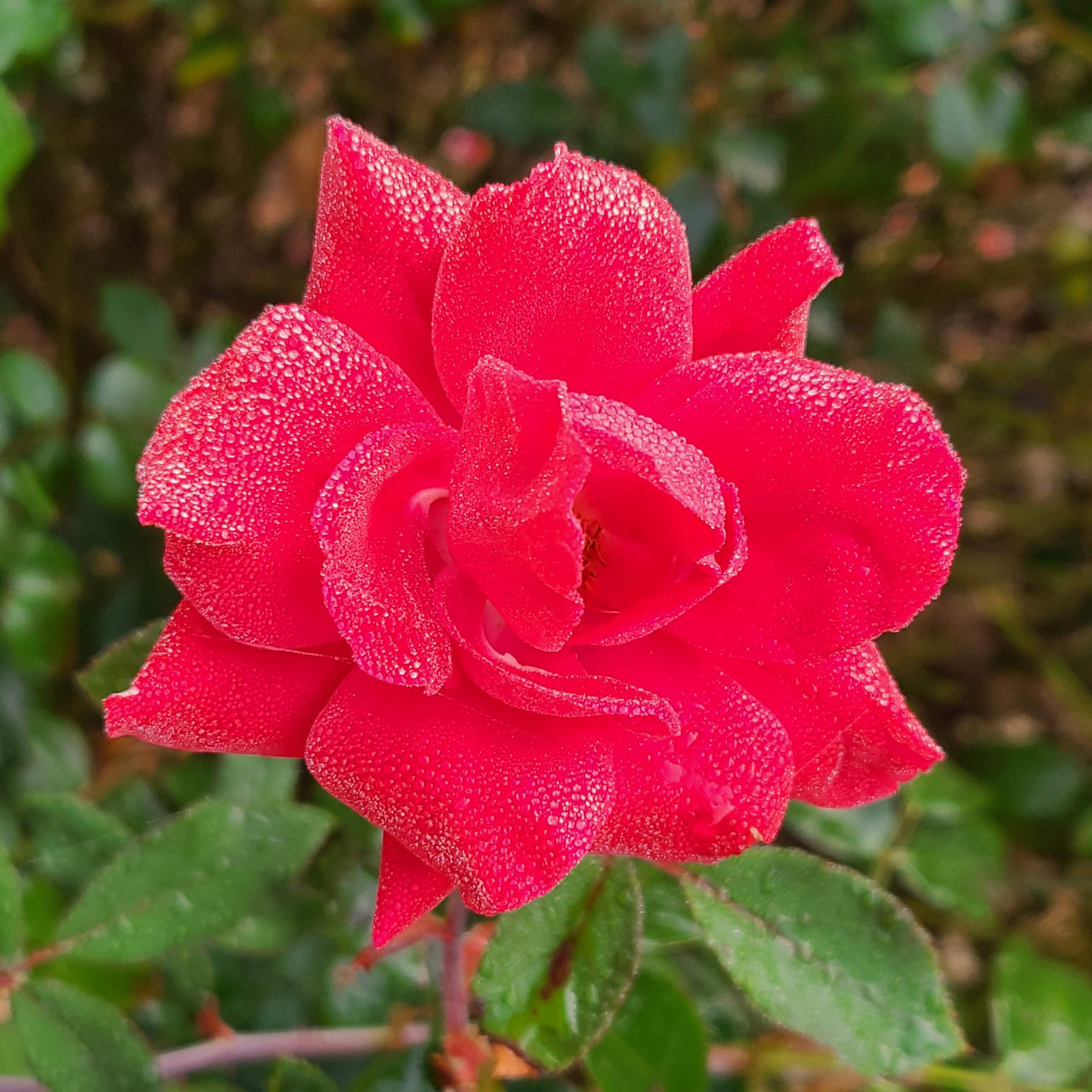 20201028_083407.jpg