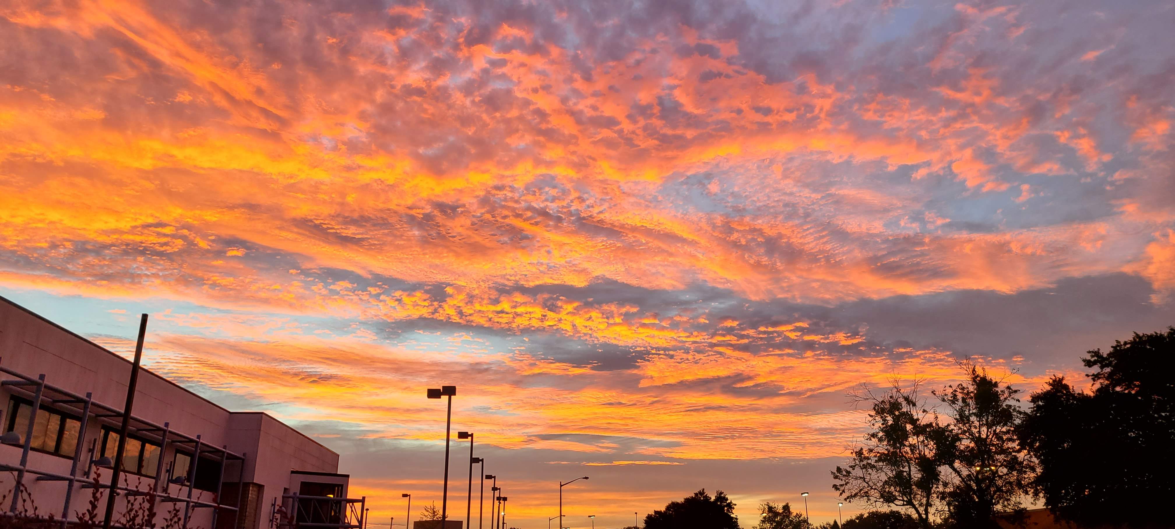 20201029_072214.jpg