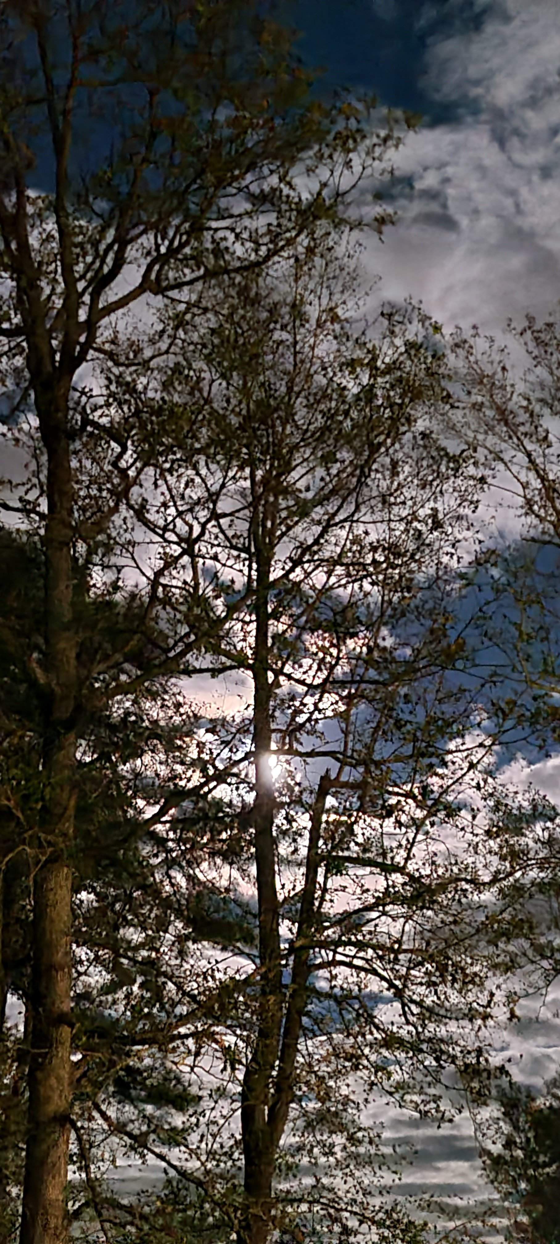 20201030_194836.jpg