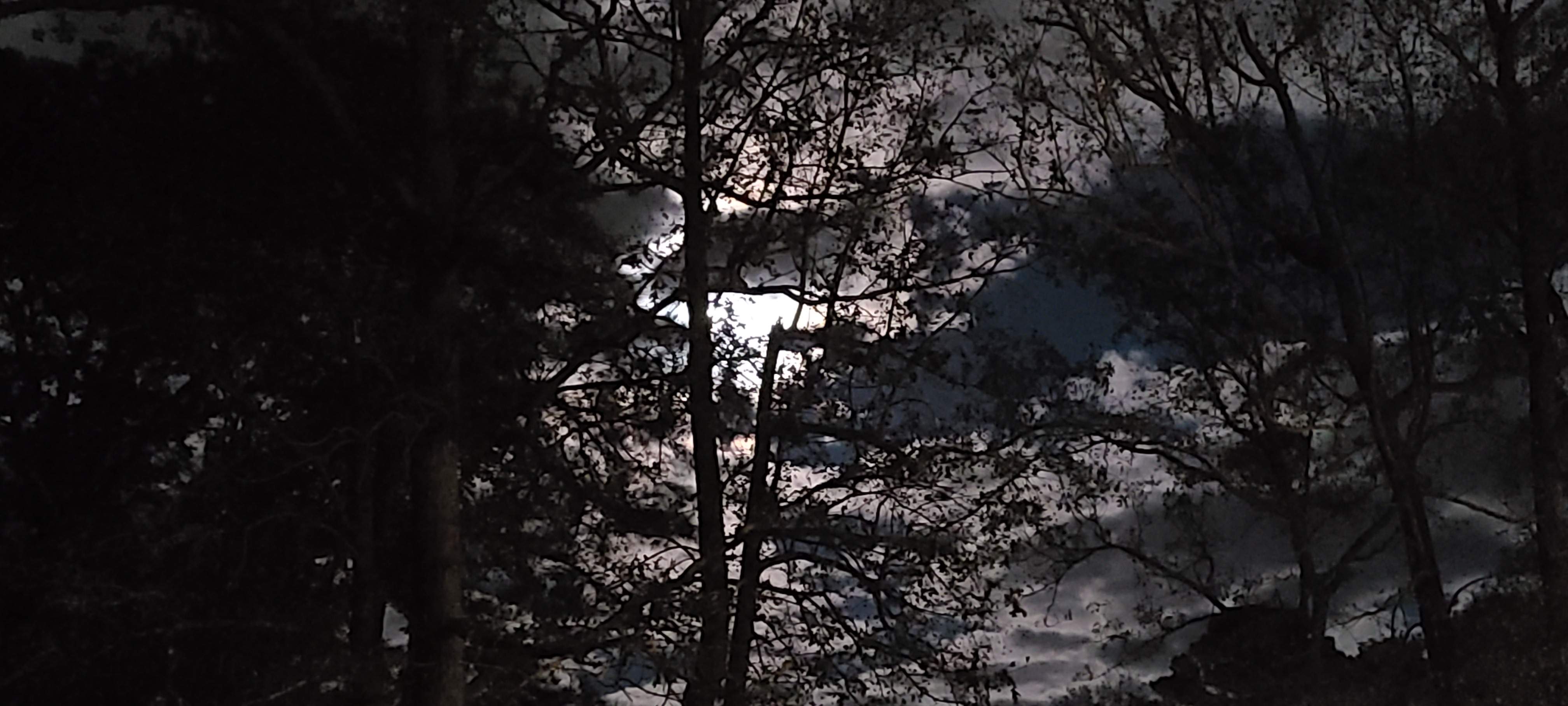 20201030_194950.jpg