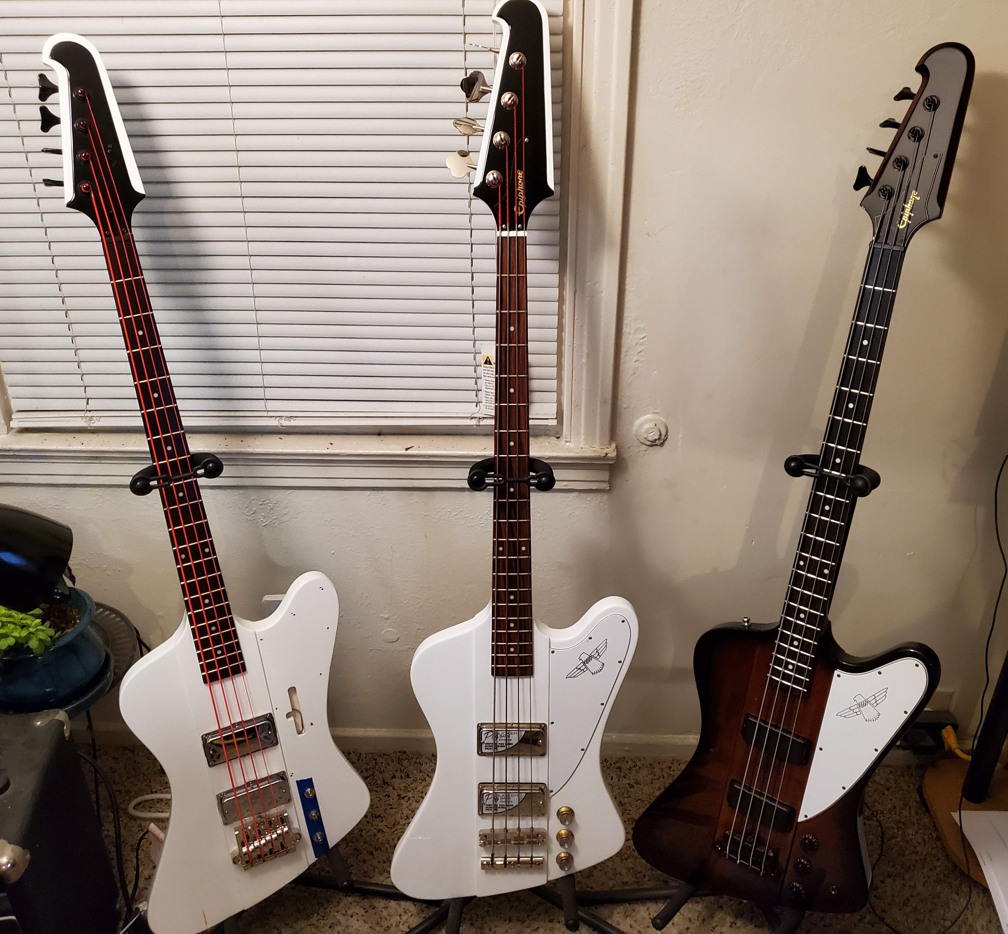 20201105_051431.jpg