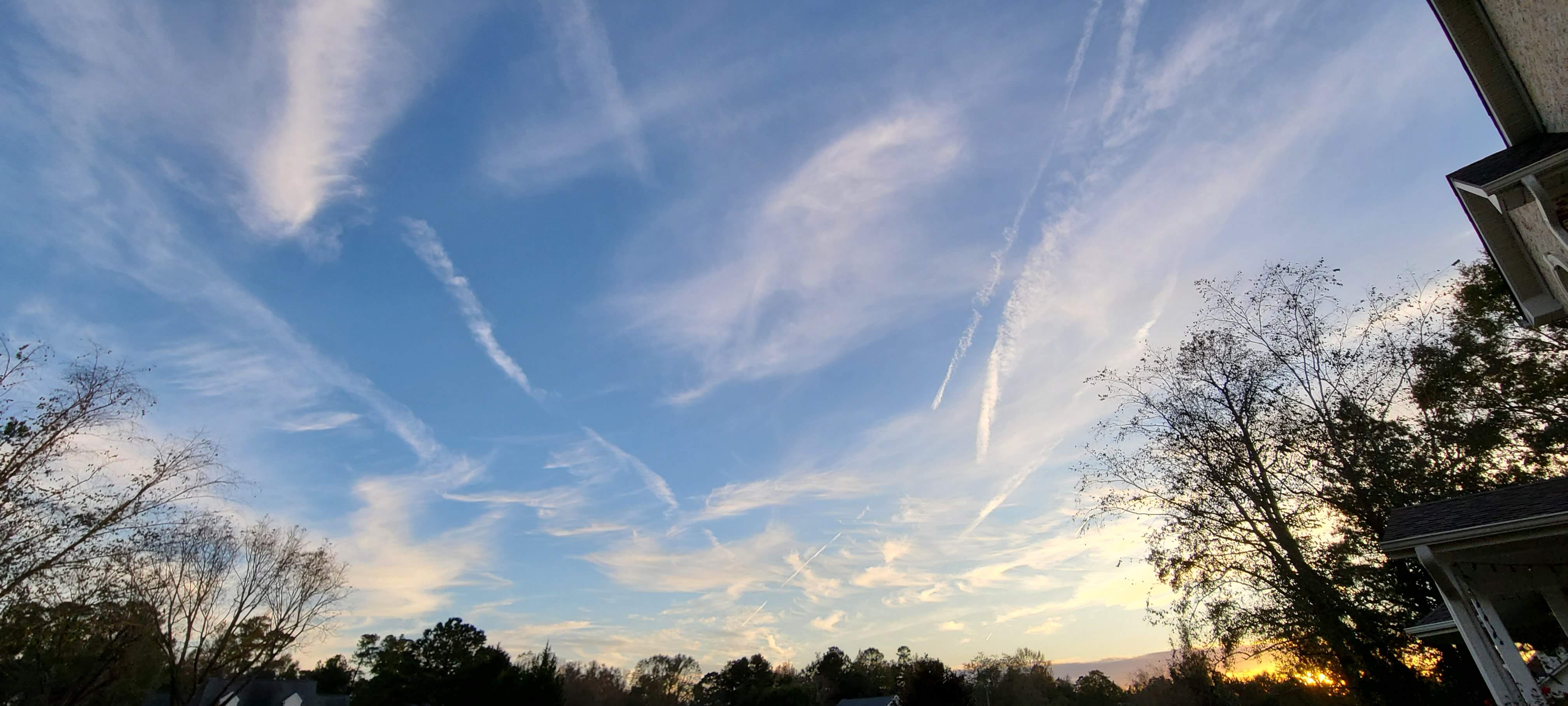 20201105_165307.jpg