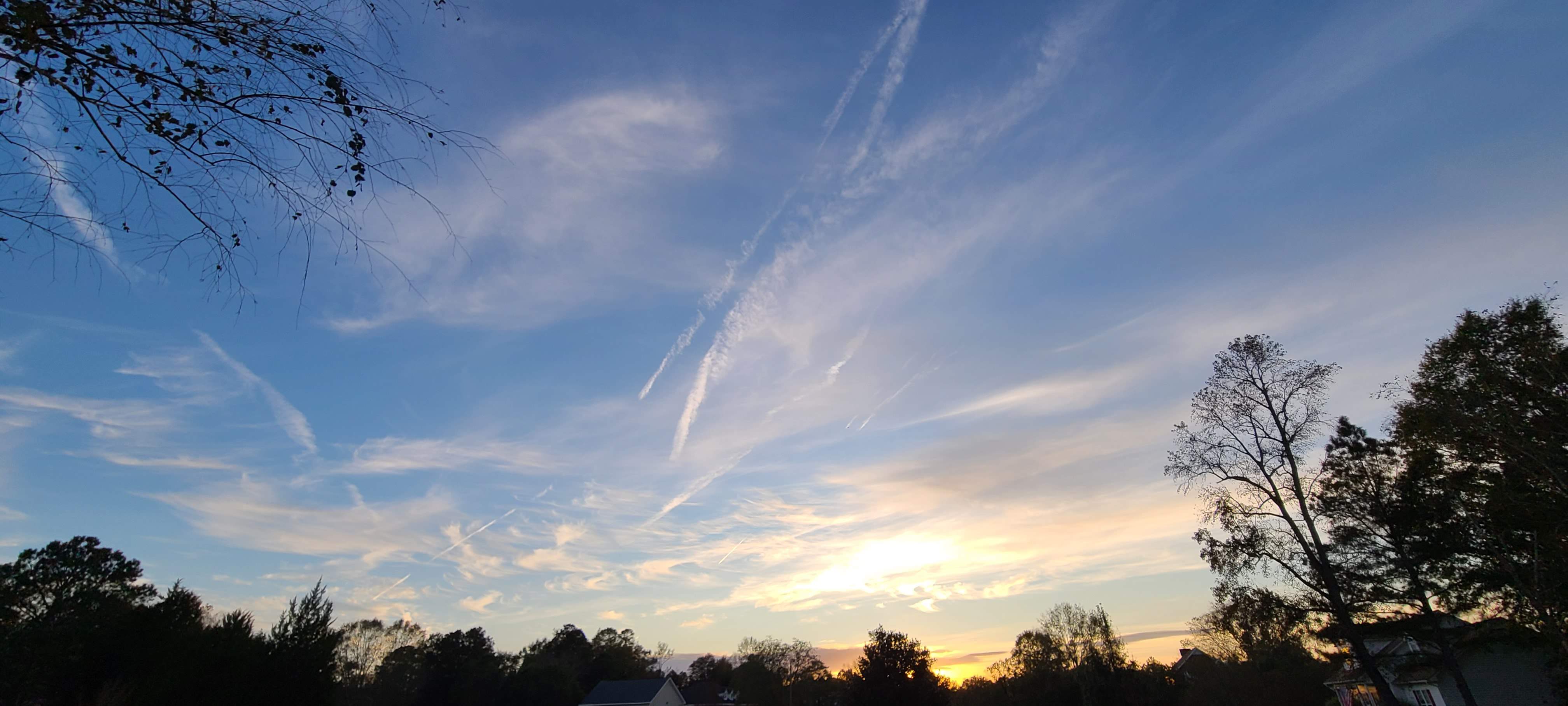 20201105_165341.jpg