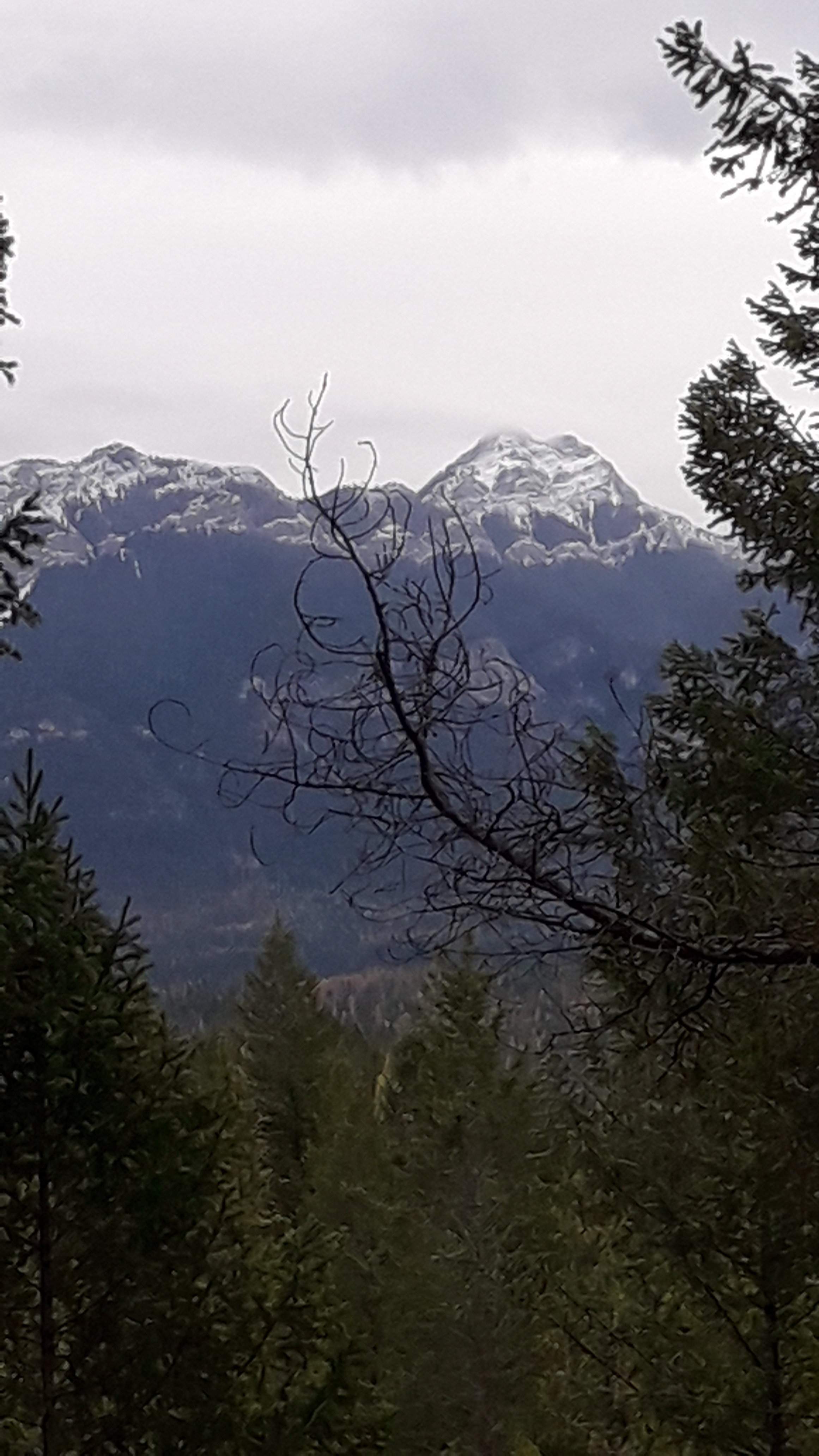 20201106_145608.jpg