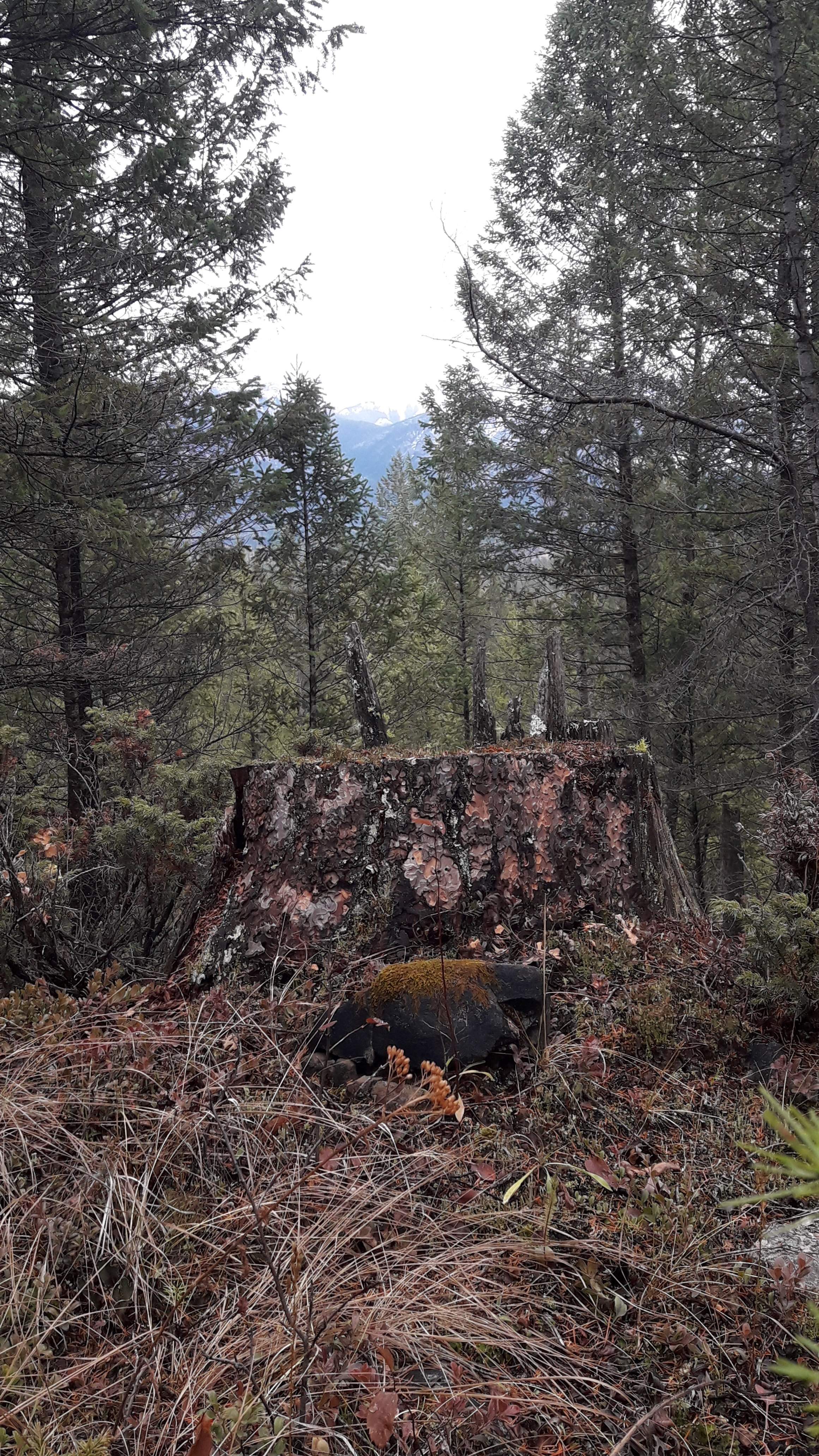 20201106_145626.jpg