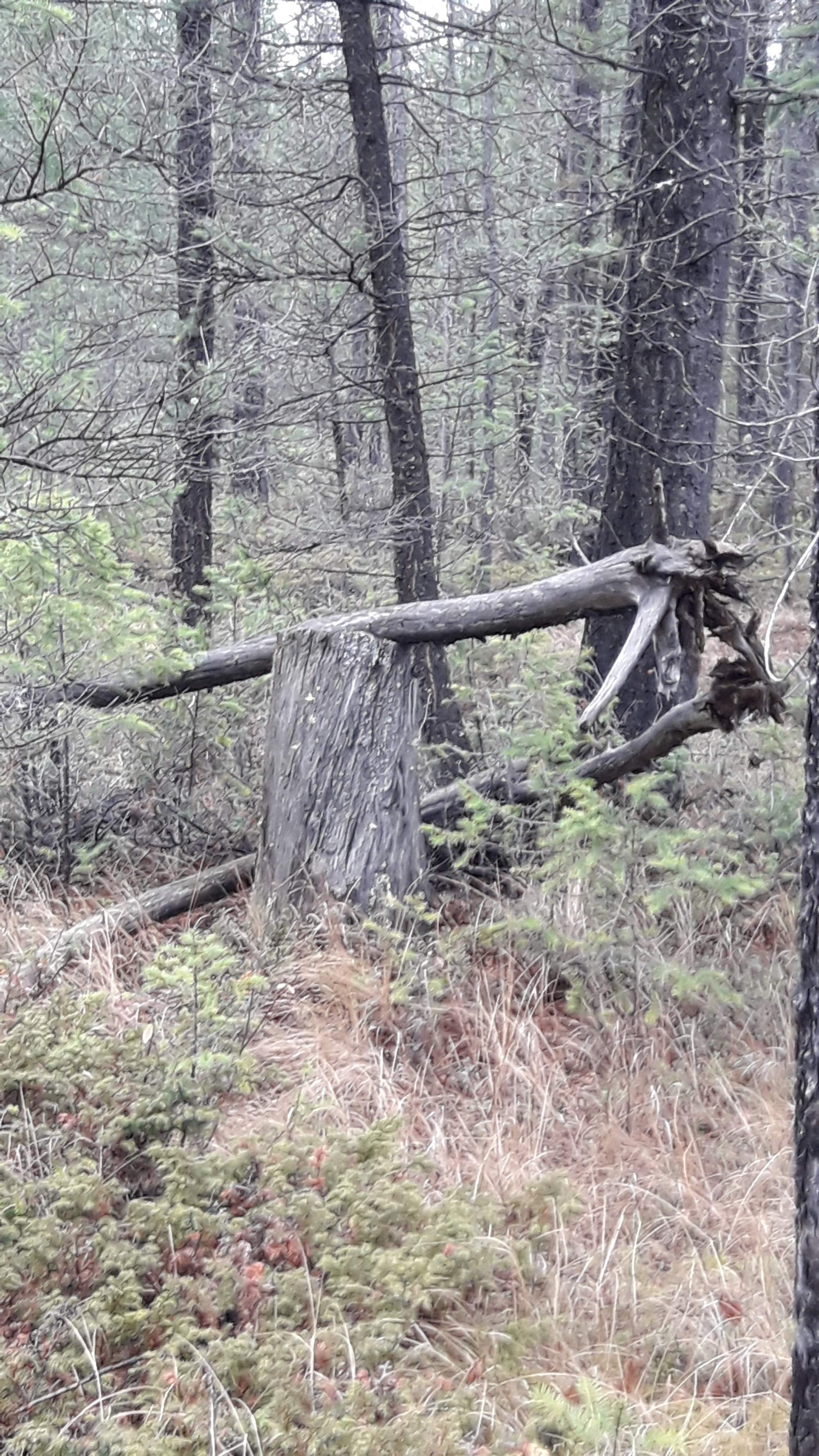 20201106_145955.jpg