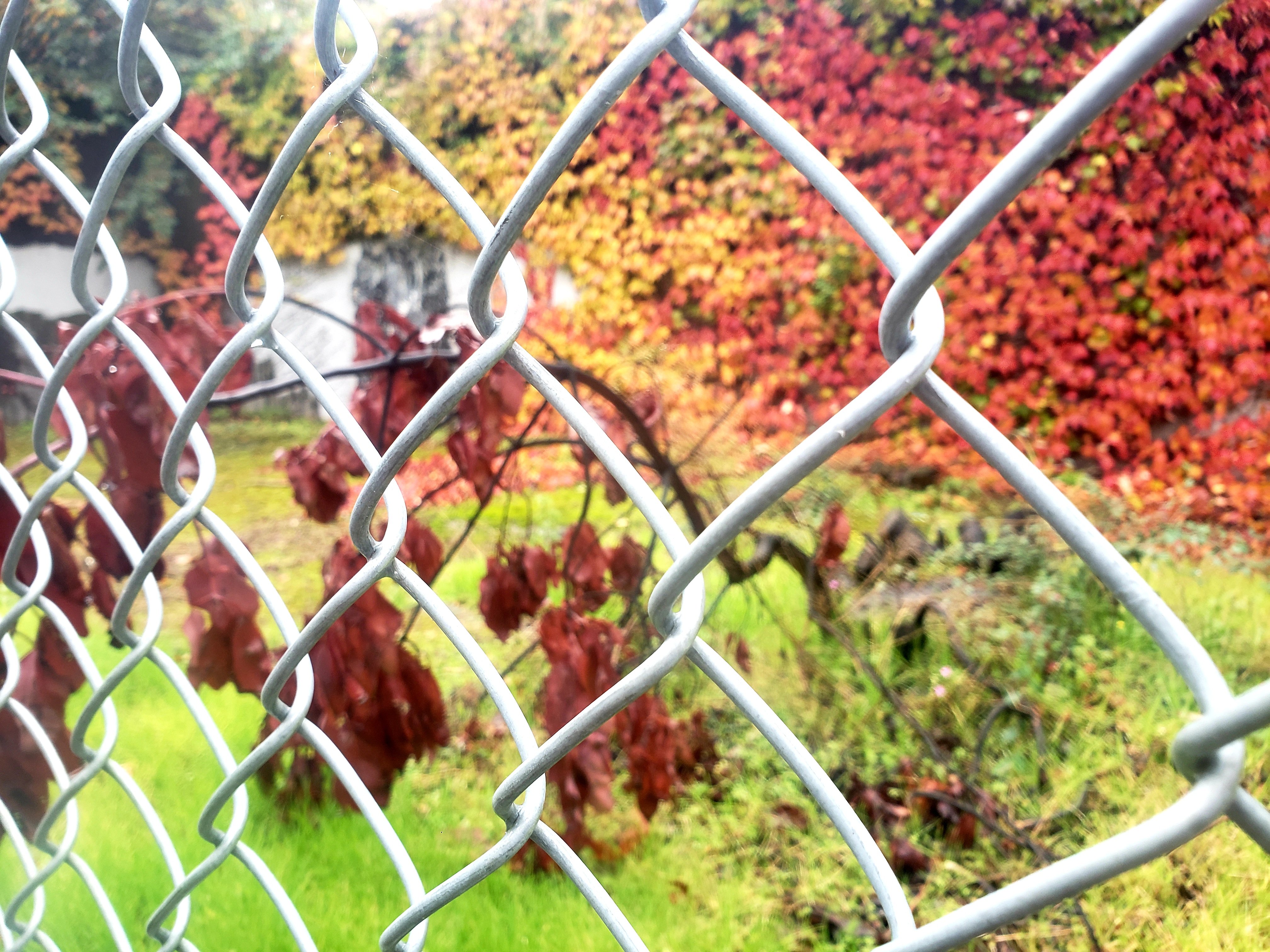 20201107_085459.jpg