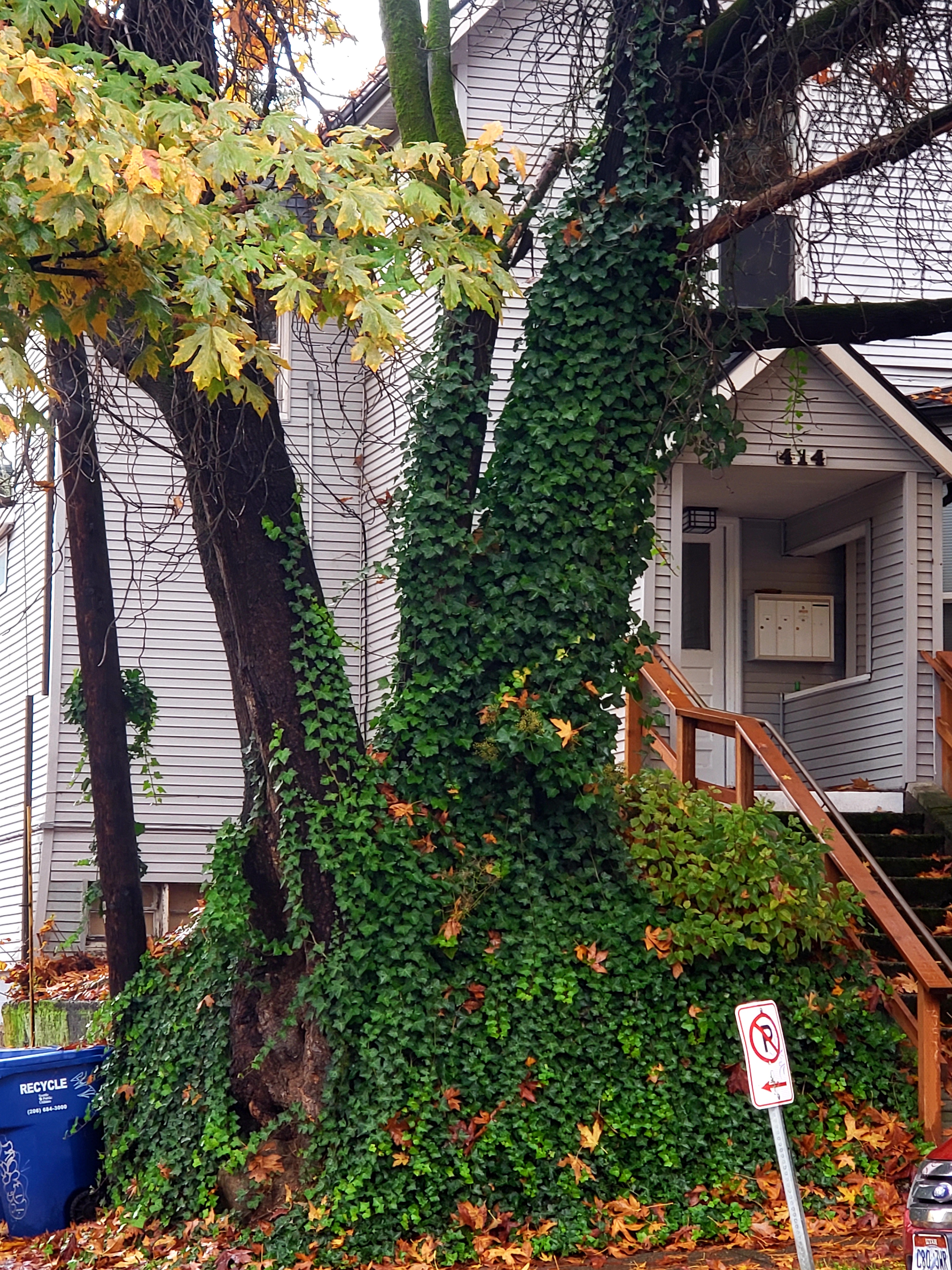 20201107_085546.jpg