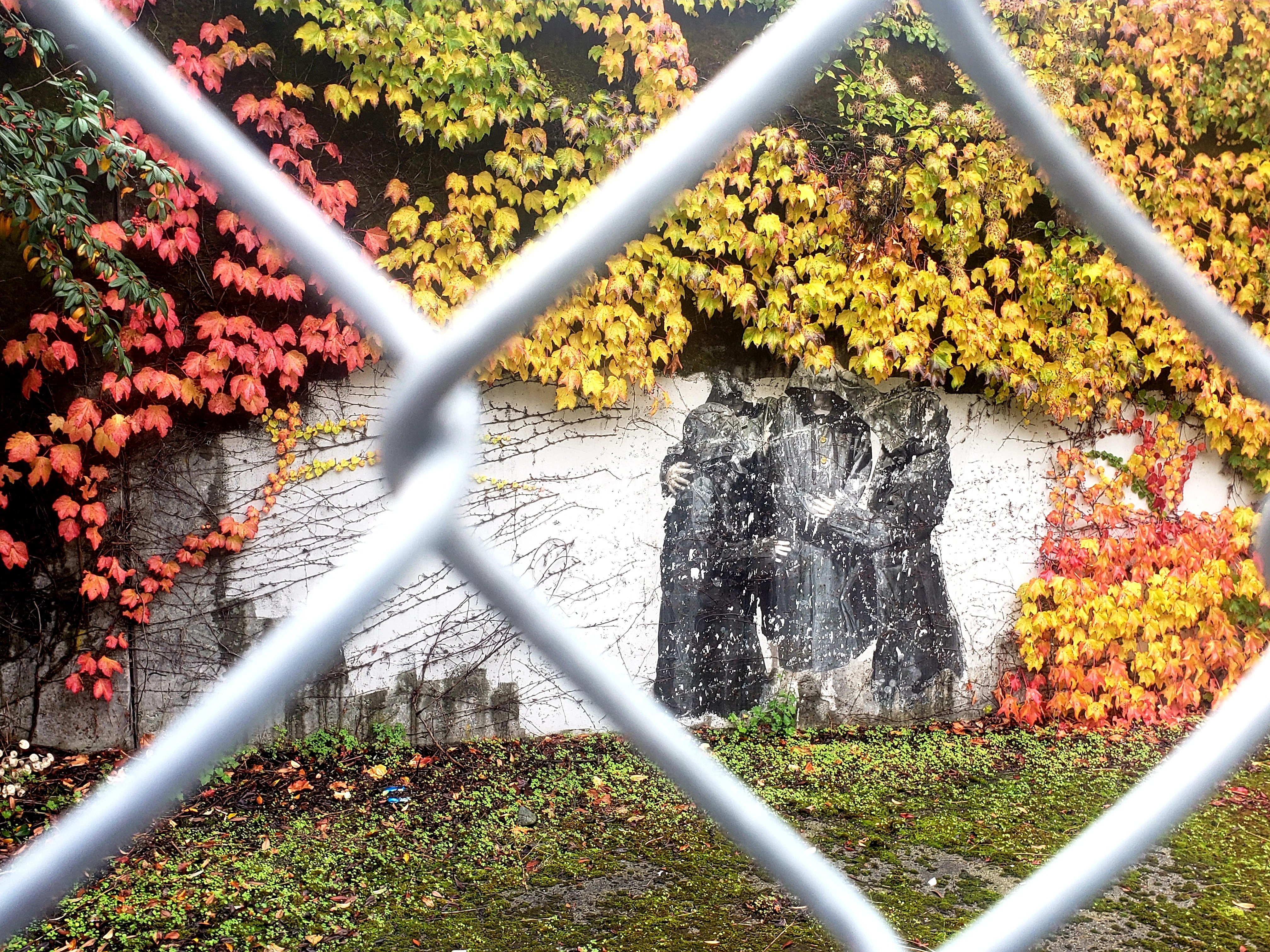 20201107_085757.jpg