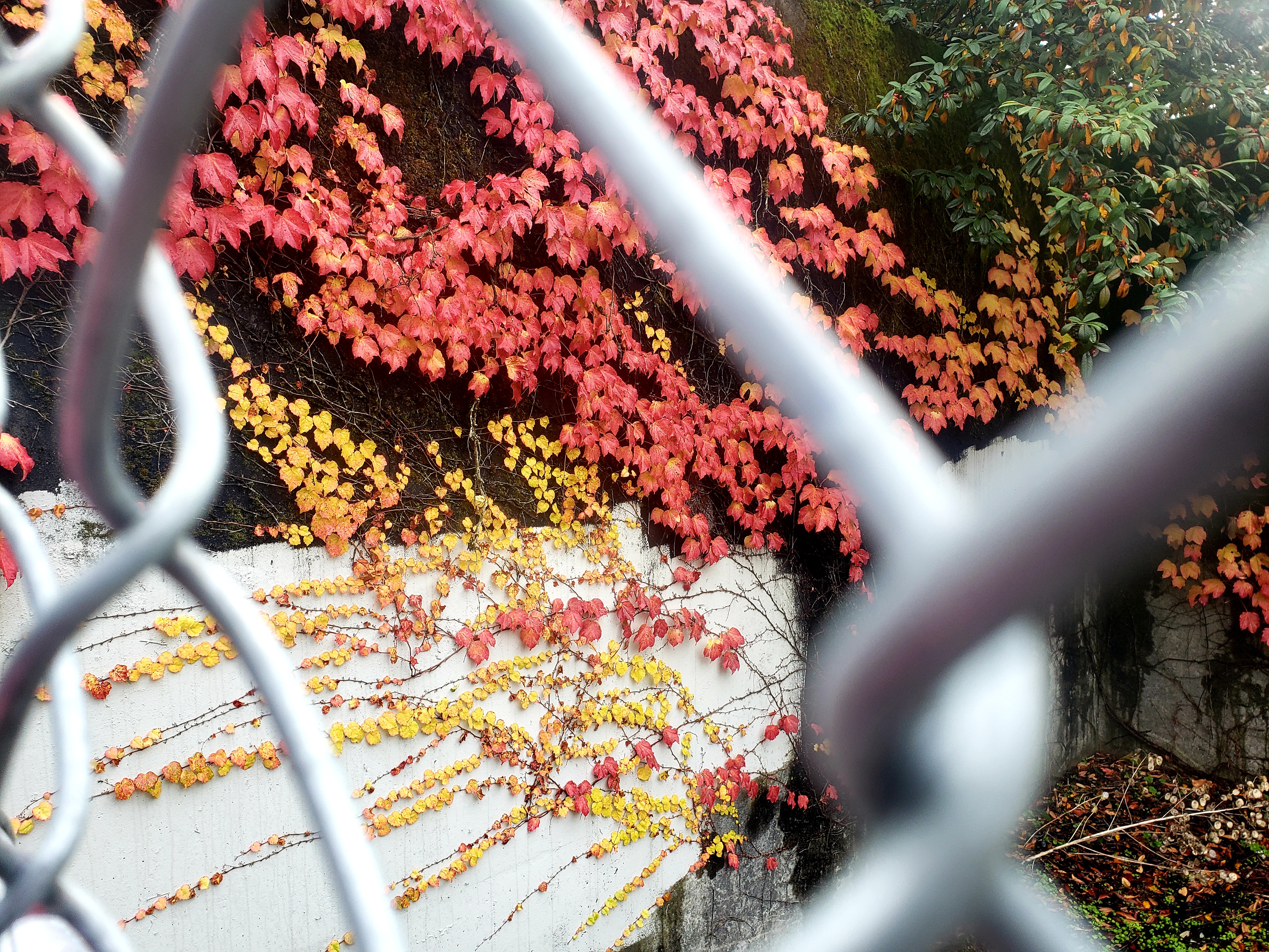 20201107_085806.jpg