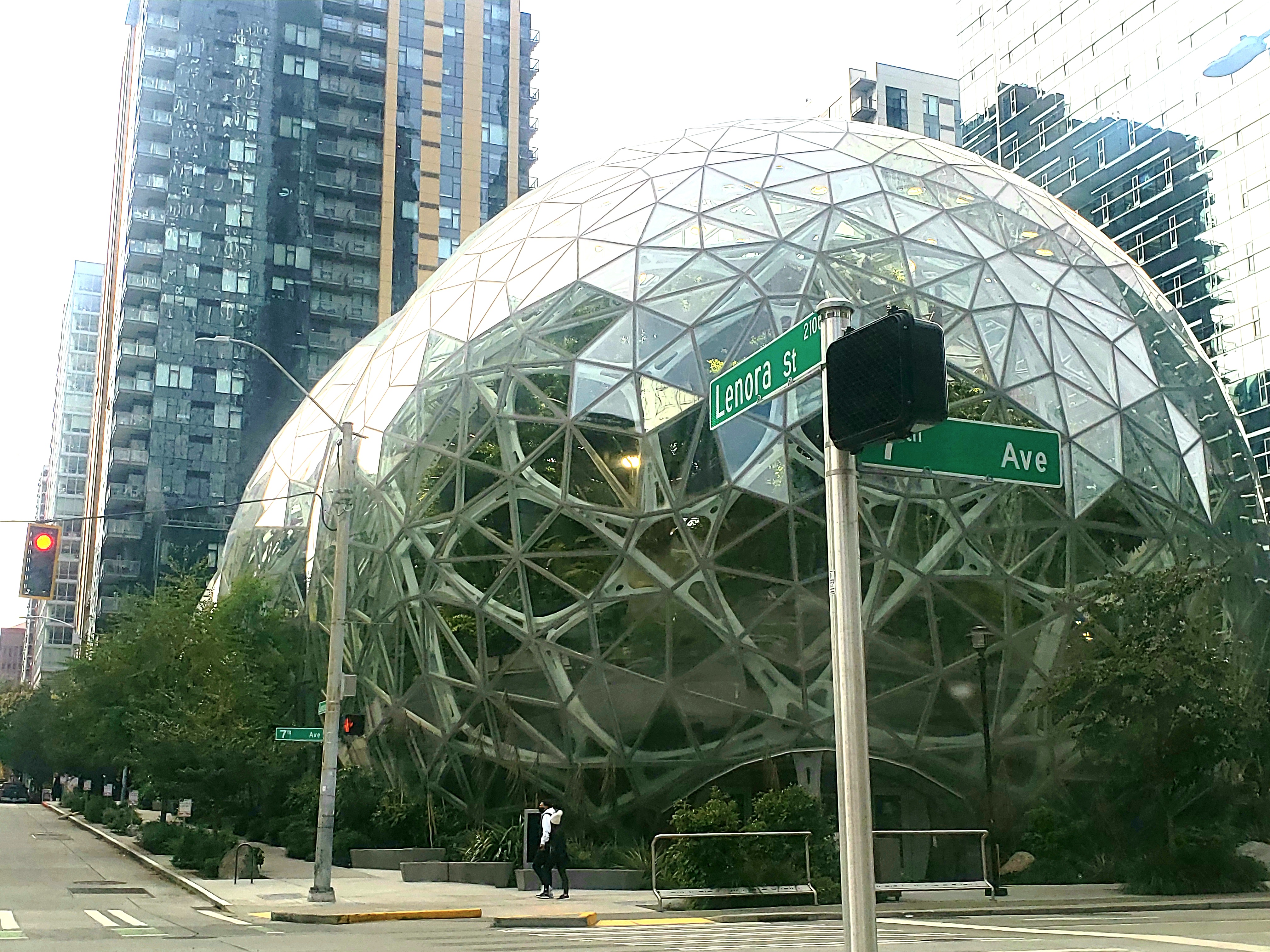 20201107_090646.jpg