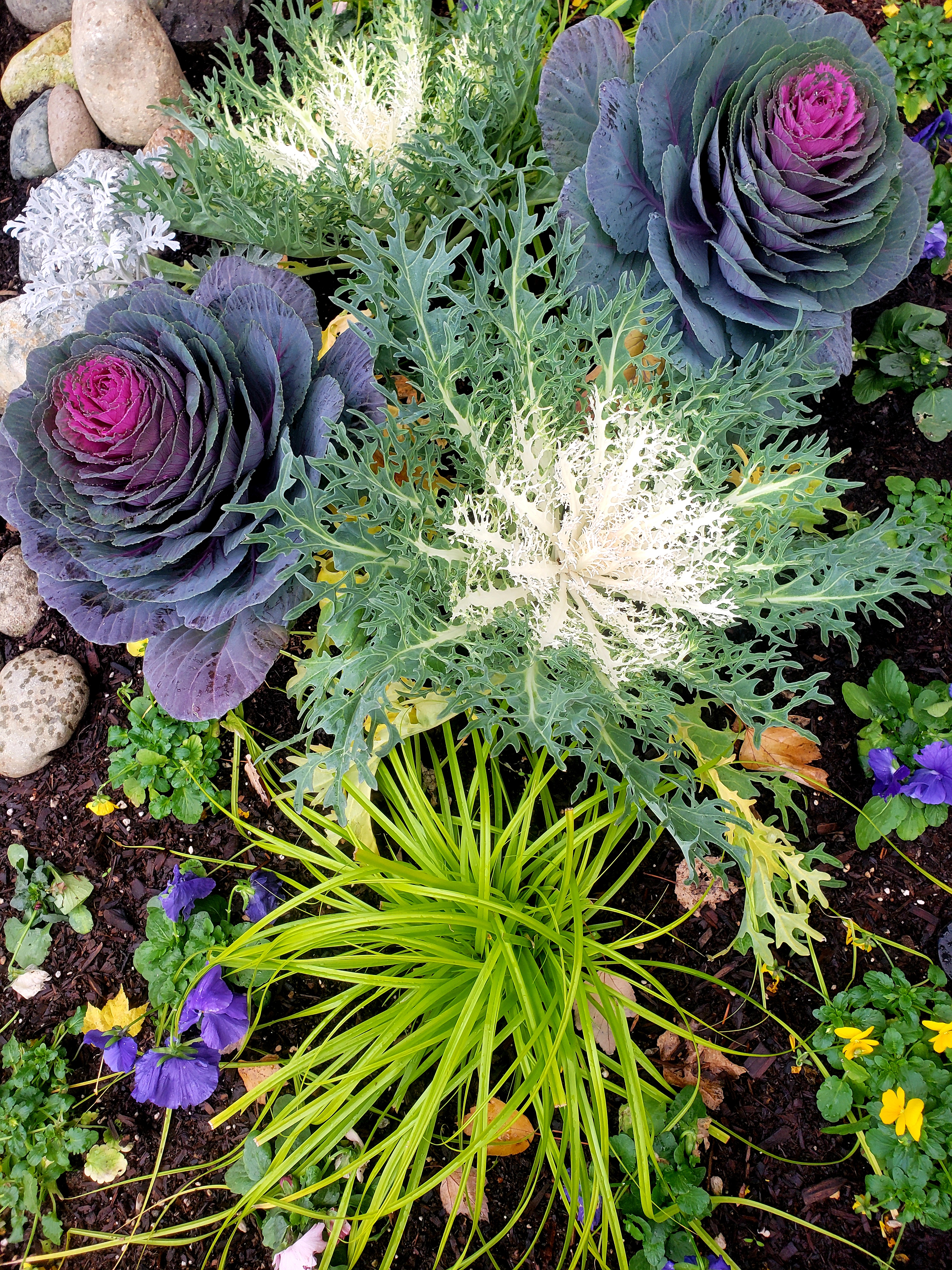 20201107_091725.jpg