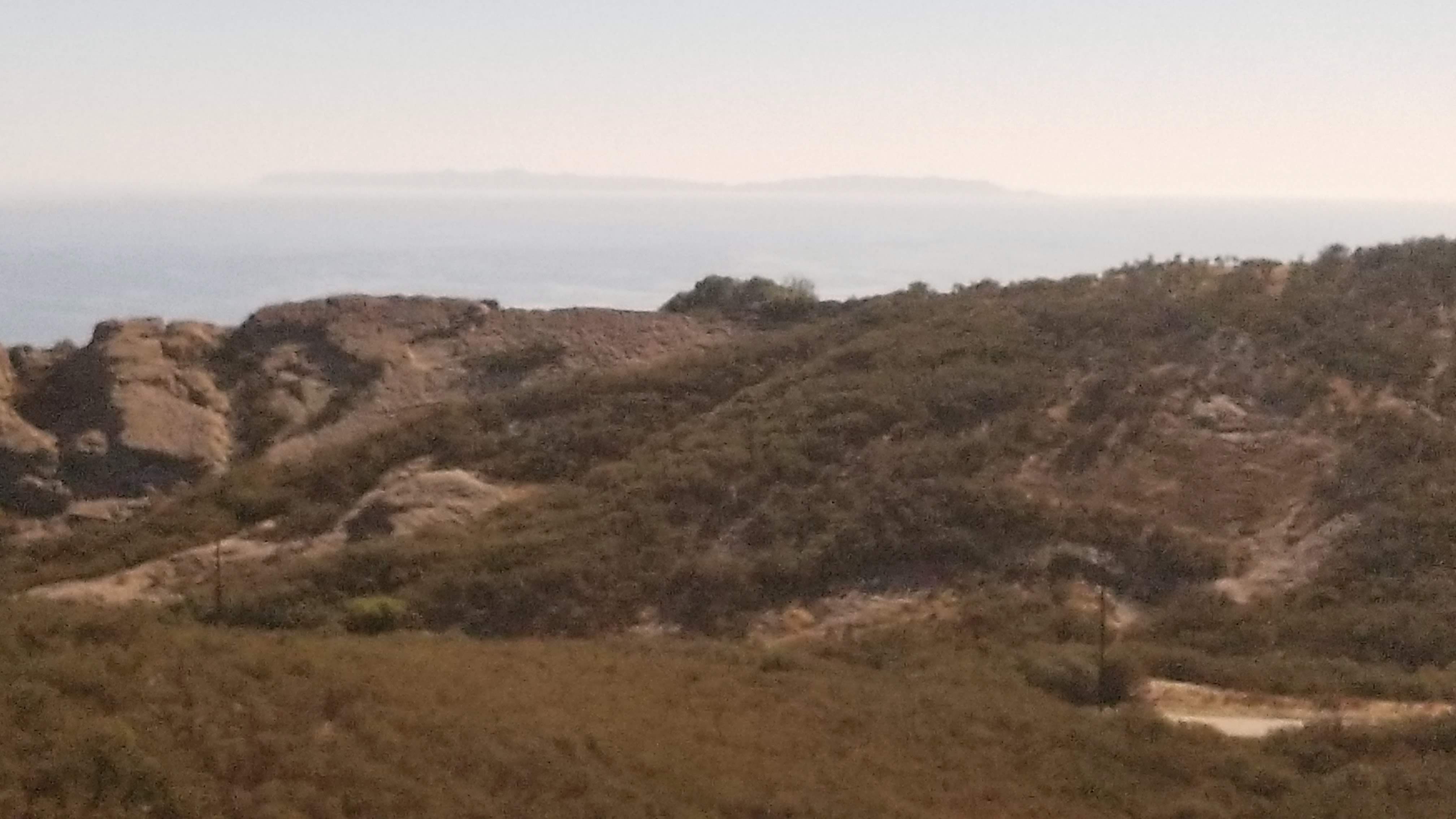 20201115_124628.jpg