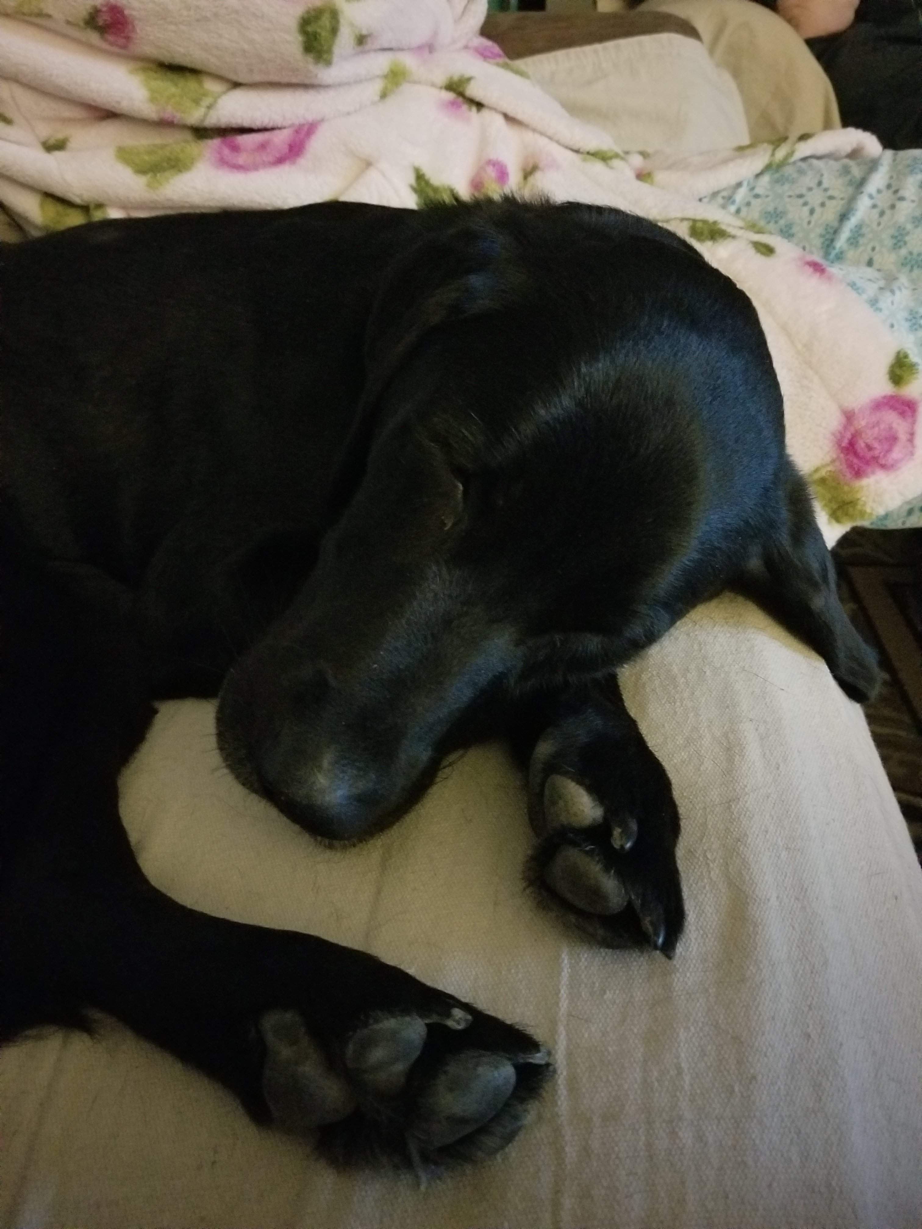 20201117_204948.jpg