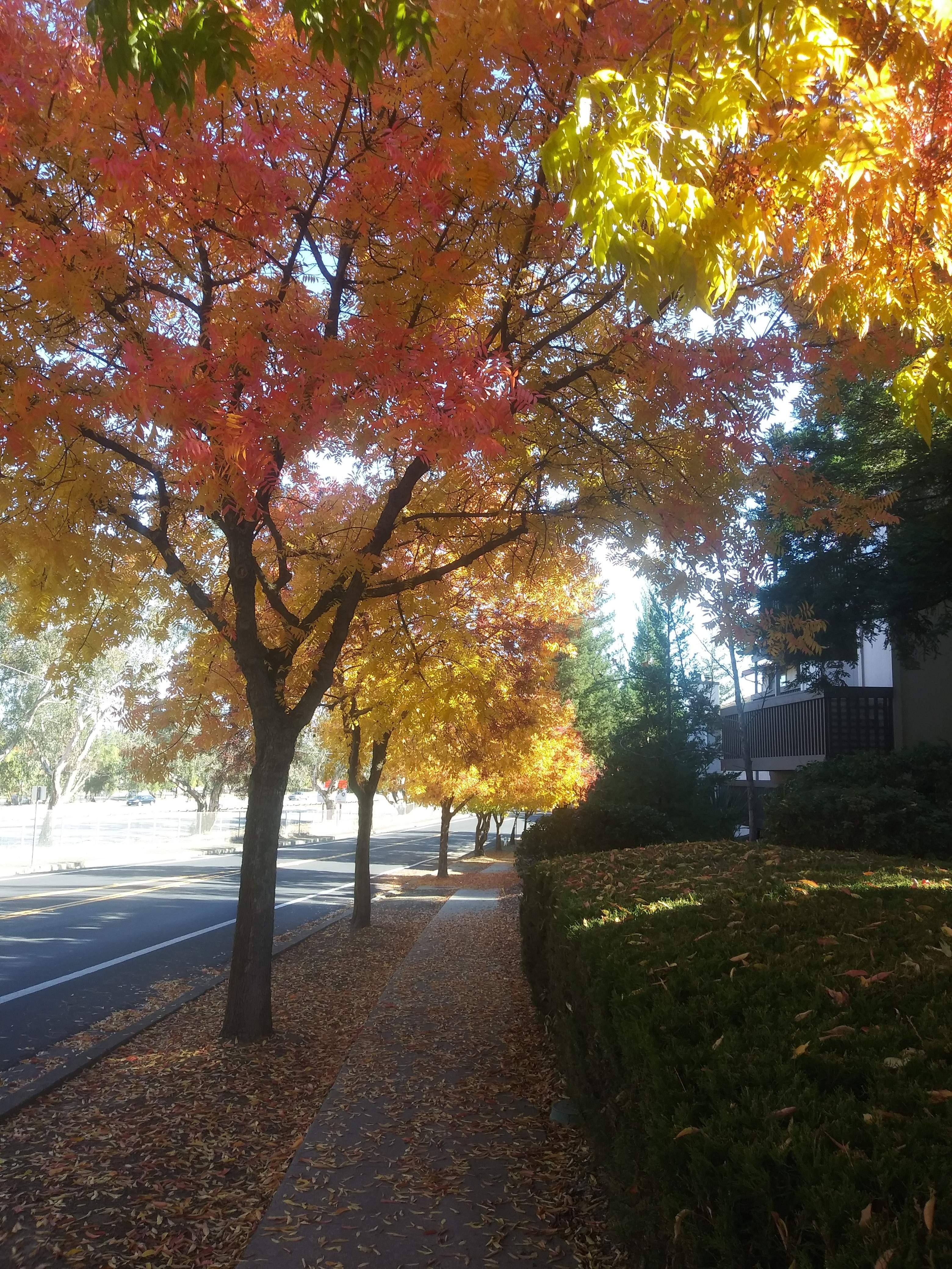 20201123_120343~2.jpg