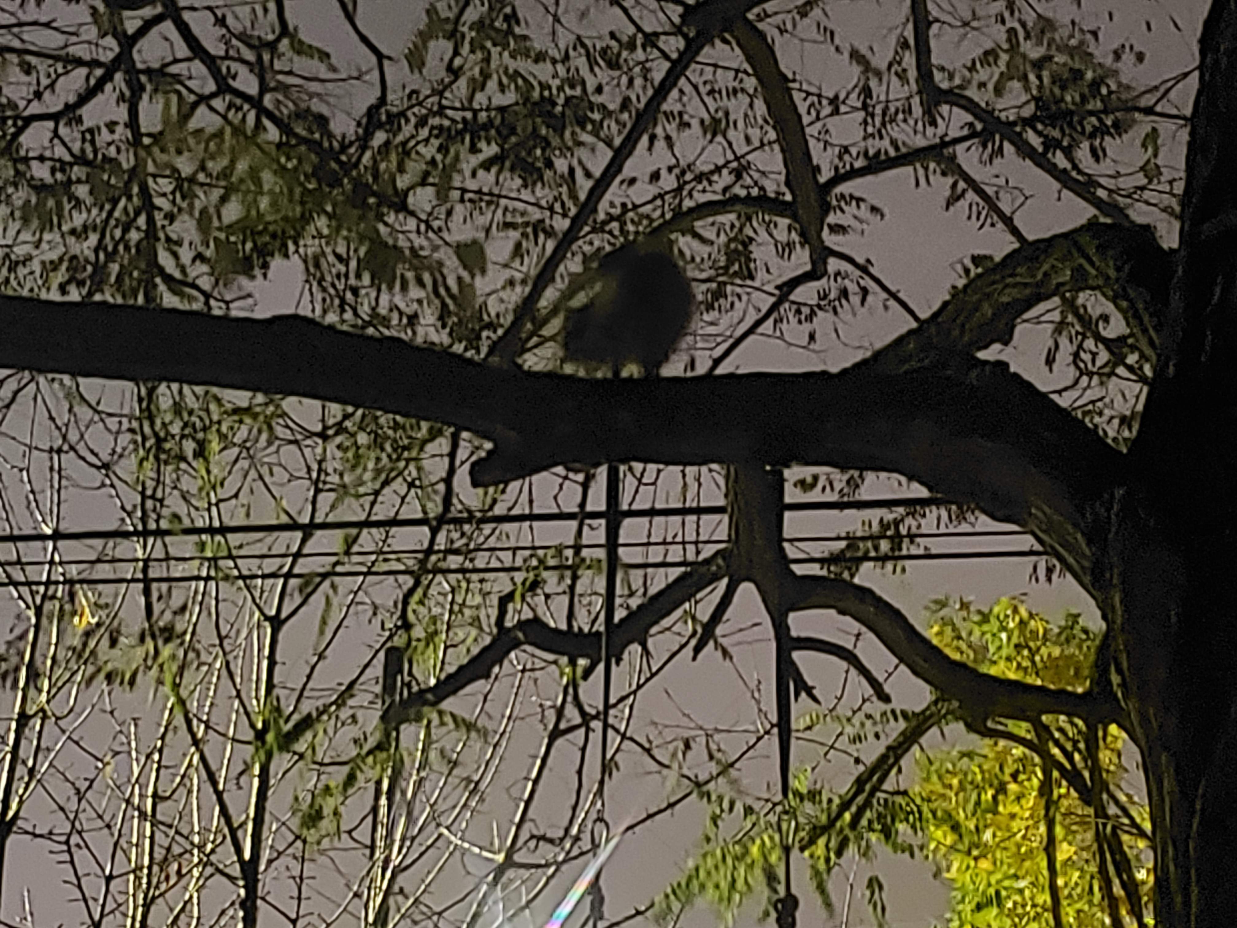 20201125_034702.jpg