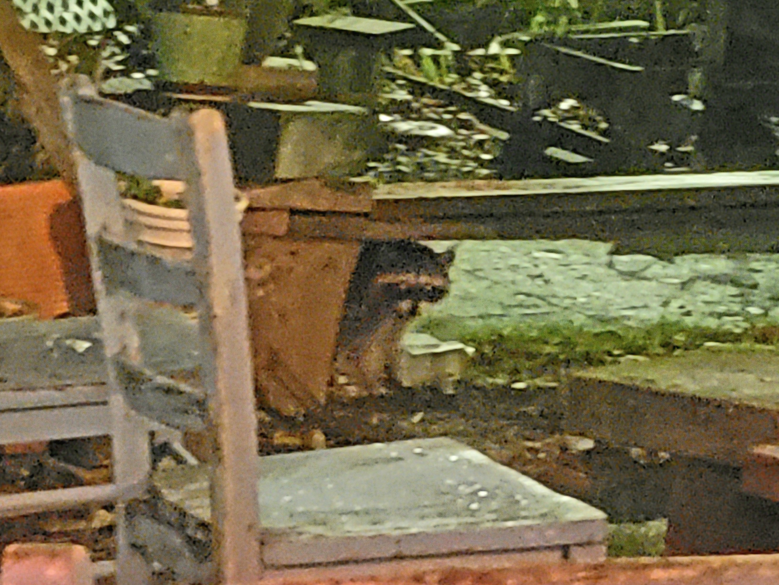 20201125_035639.jpg