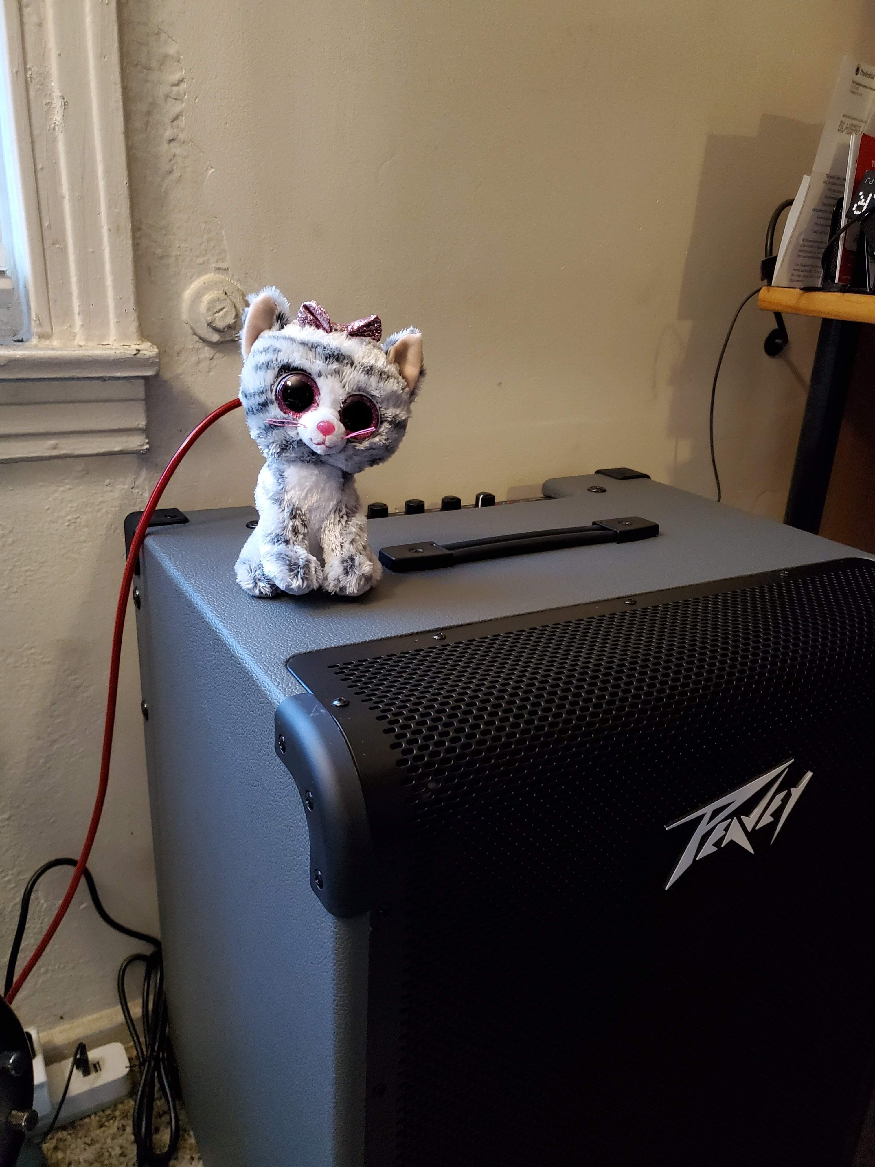 20201127_075446.jpg