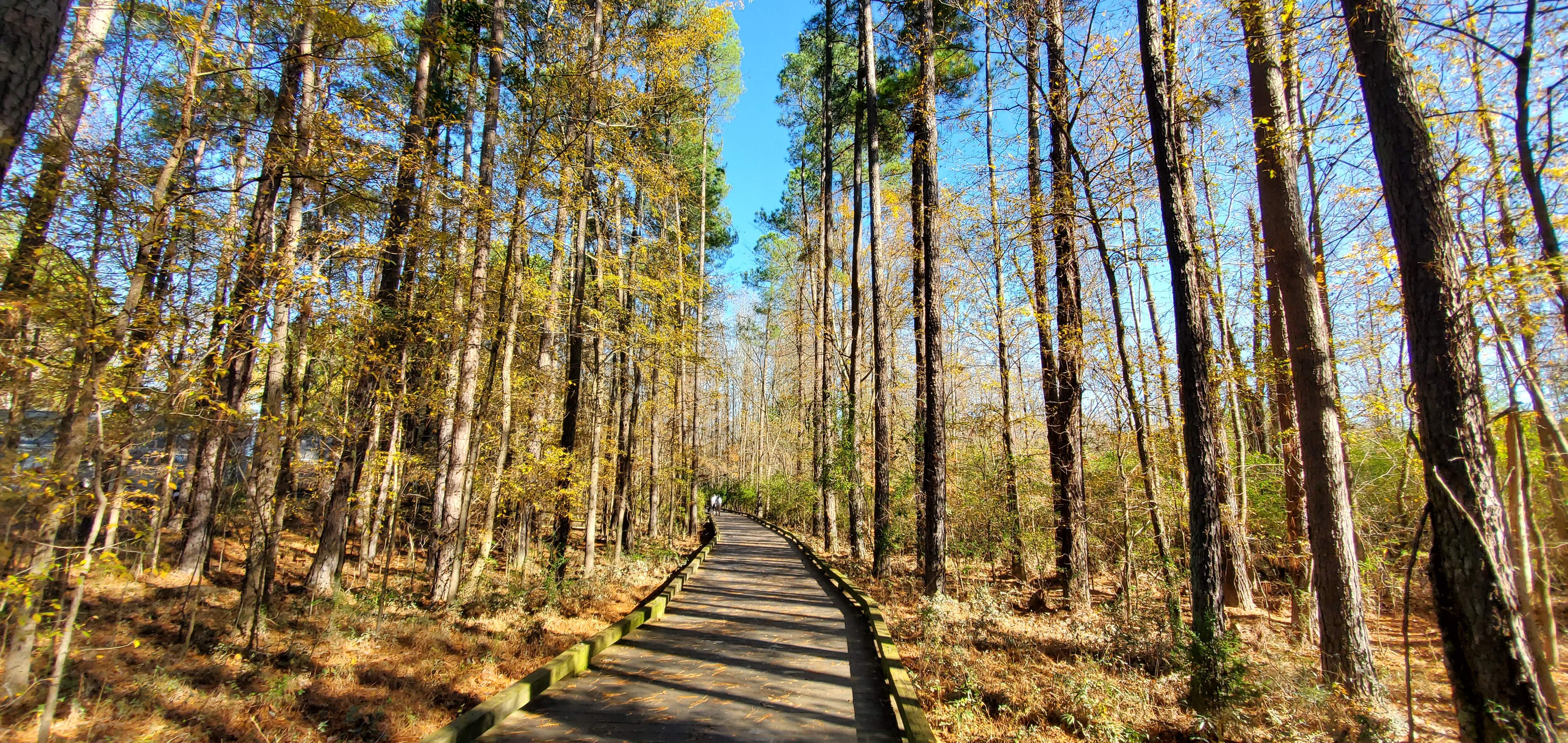 20201128_110557.jpg