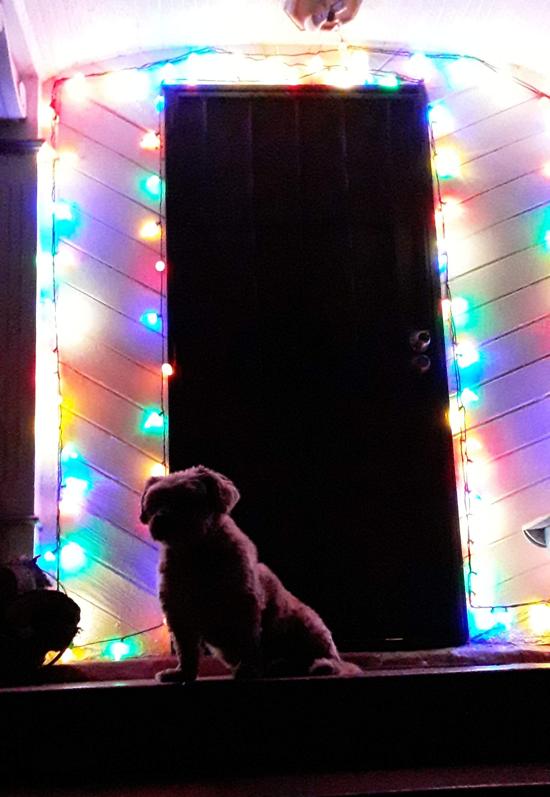 20201202_220638.jpg