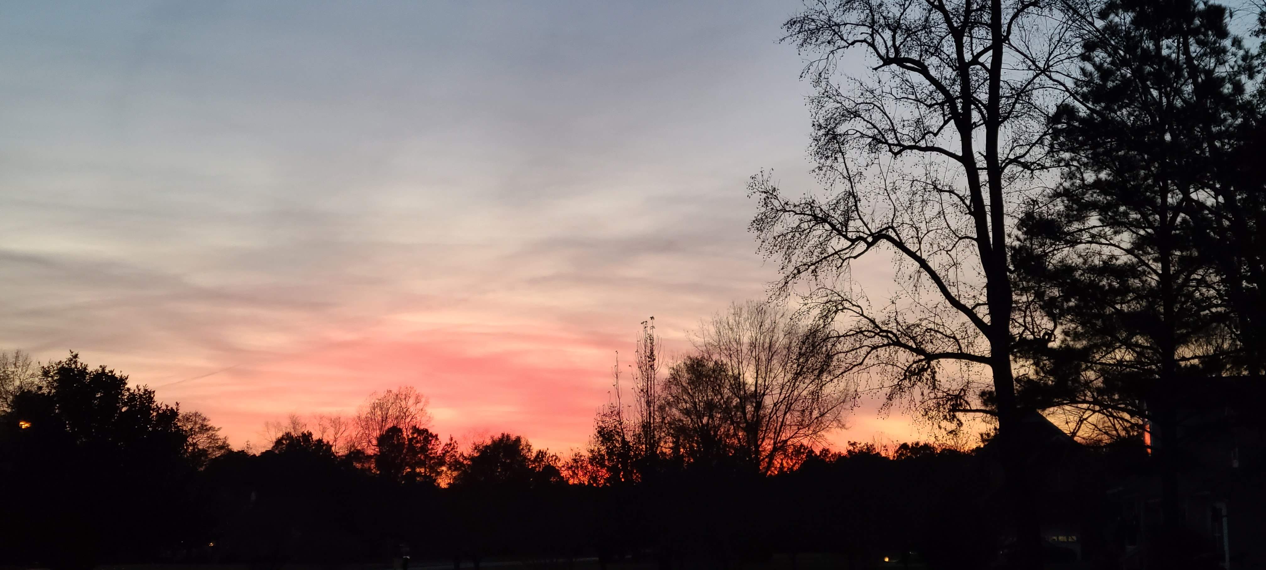 20201203_171816.jpg