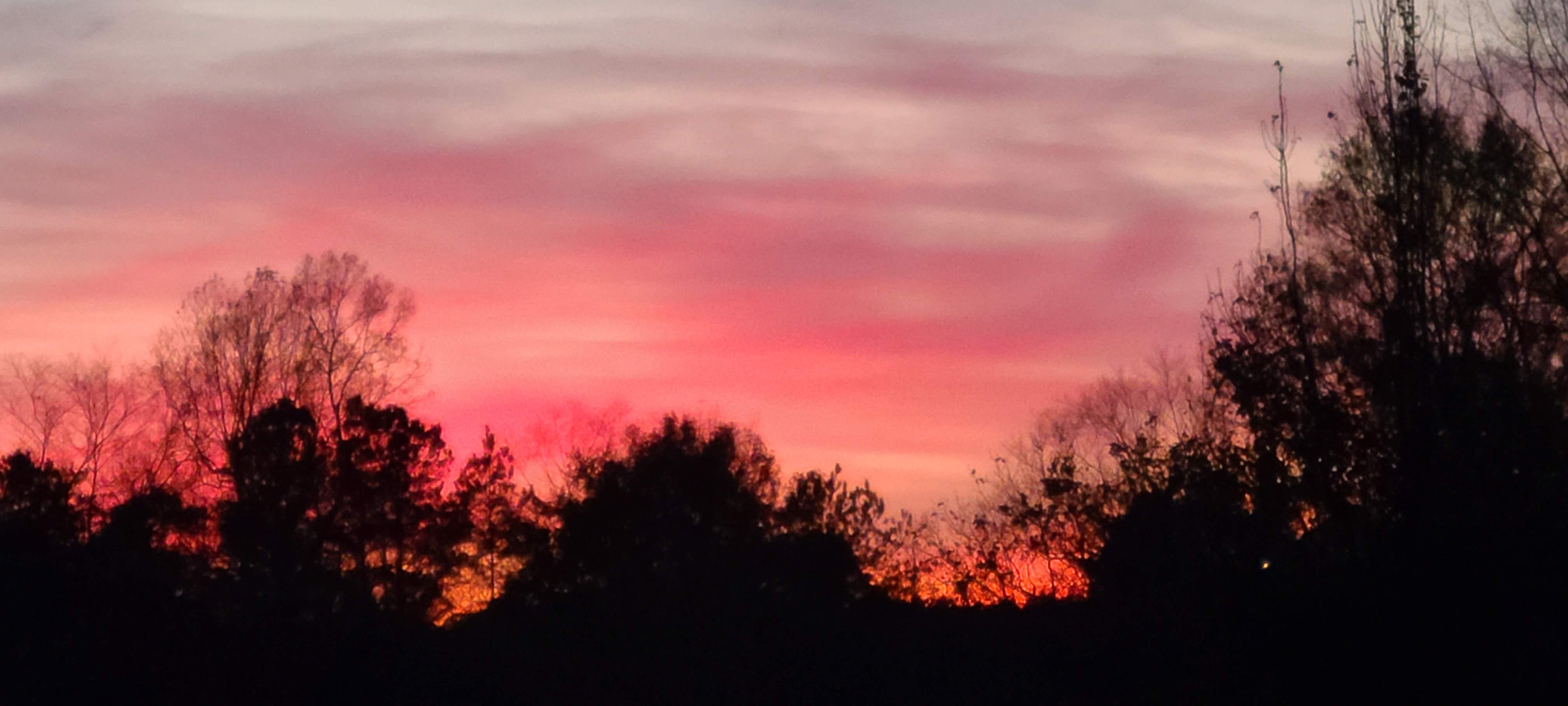 20201203_171854.jpg