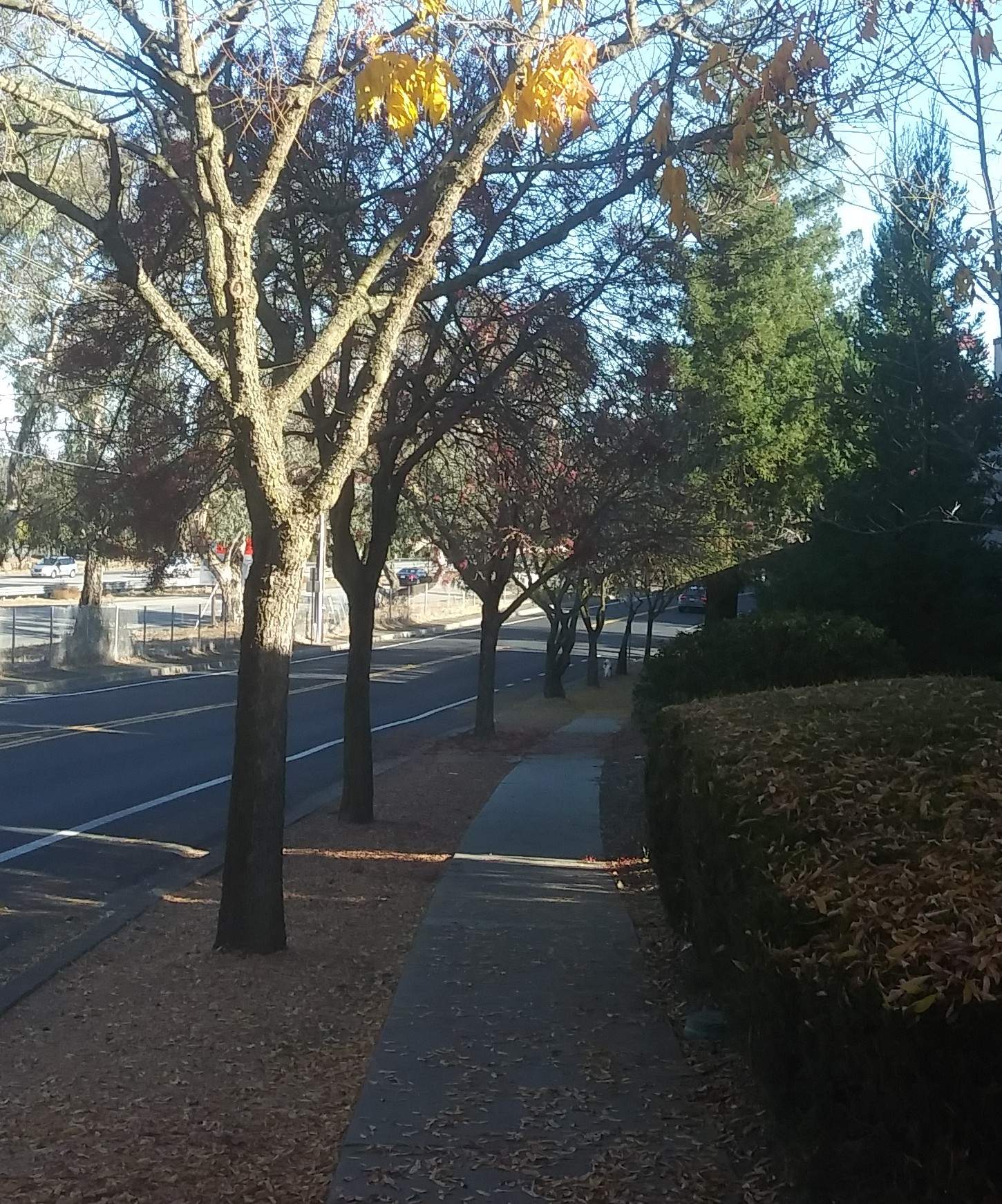 20201204_142934~2.jpg