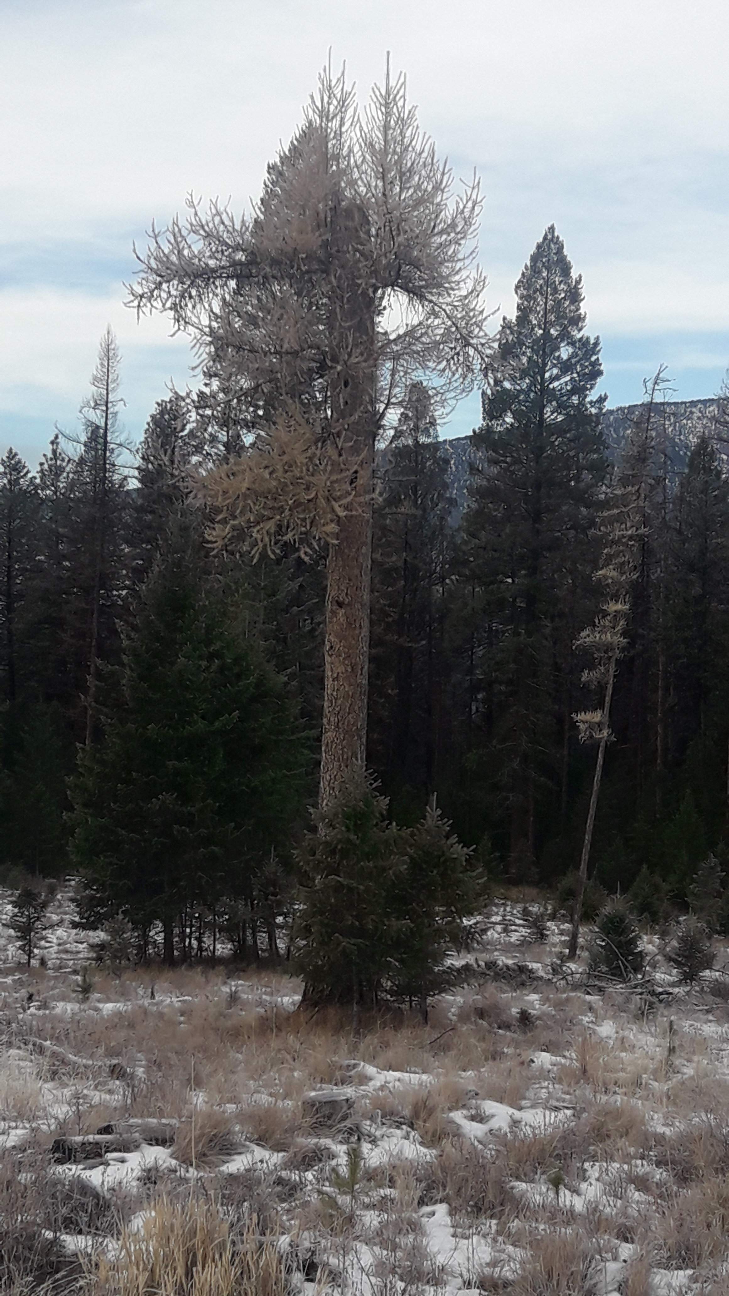 20201205_113353.jpg