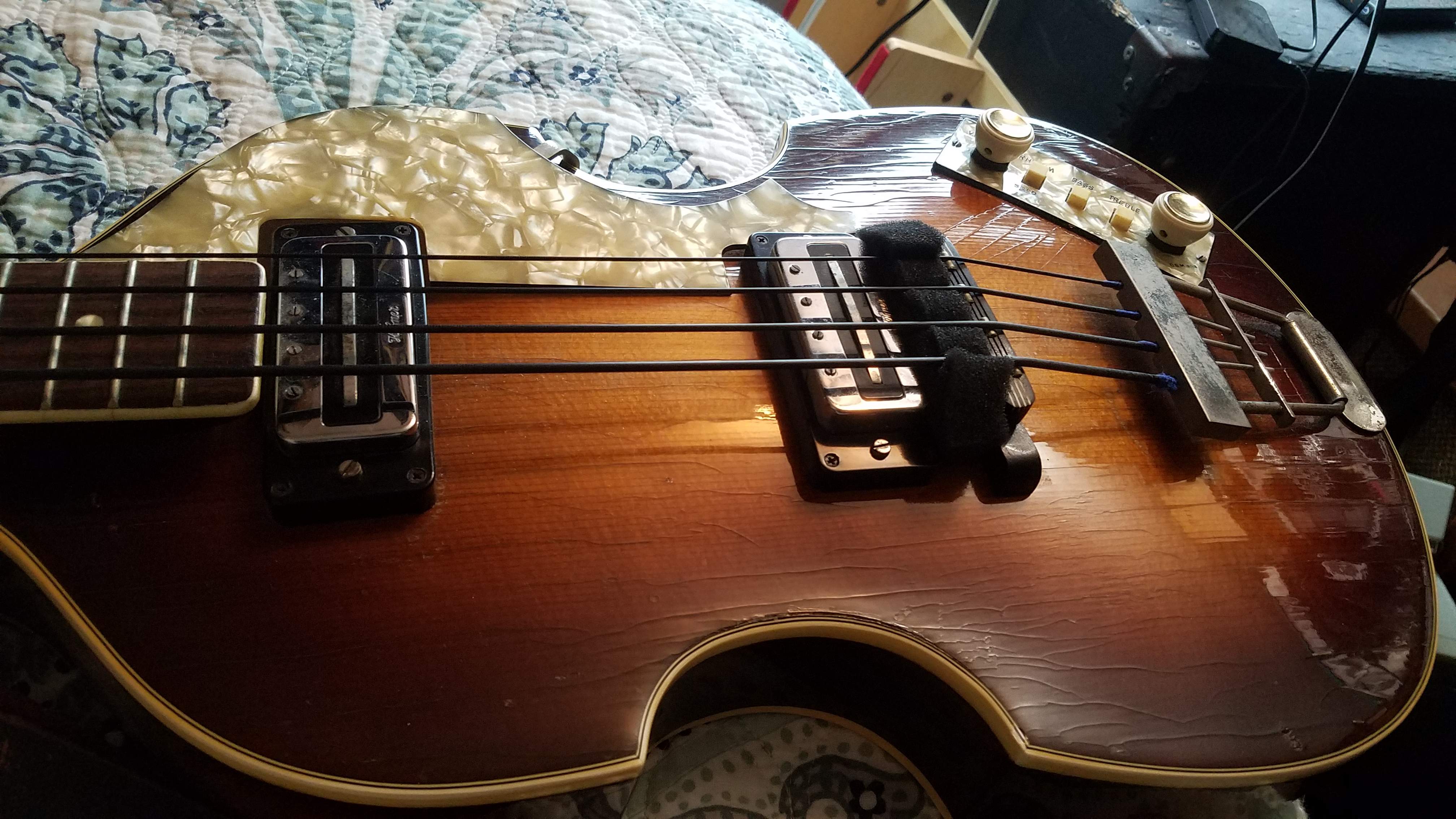 20201205_113725.jpg